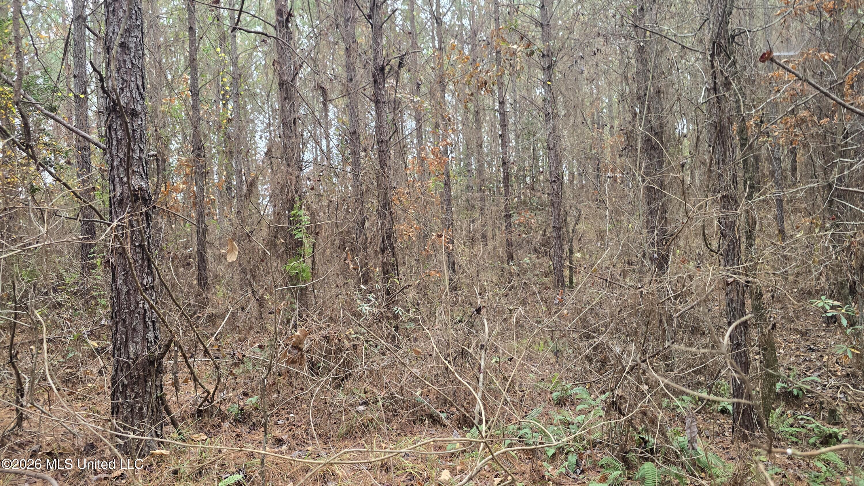 Old Trace Road Property Photo 17