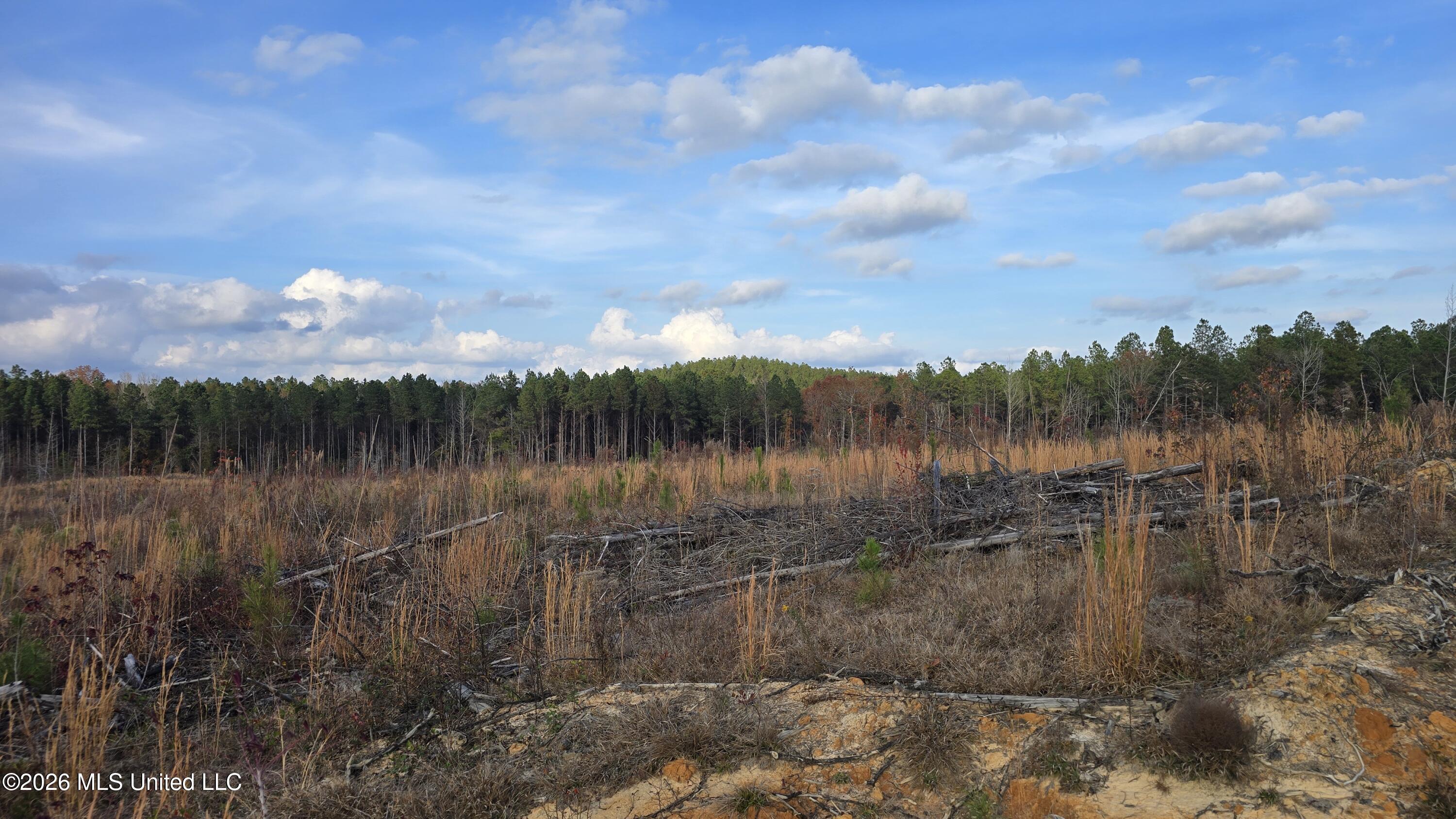 Old Trace Road Property Photo 20