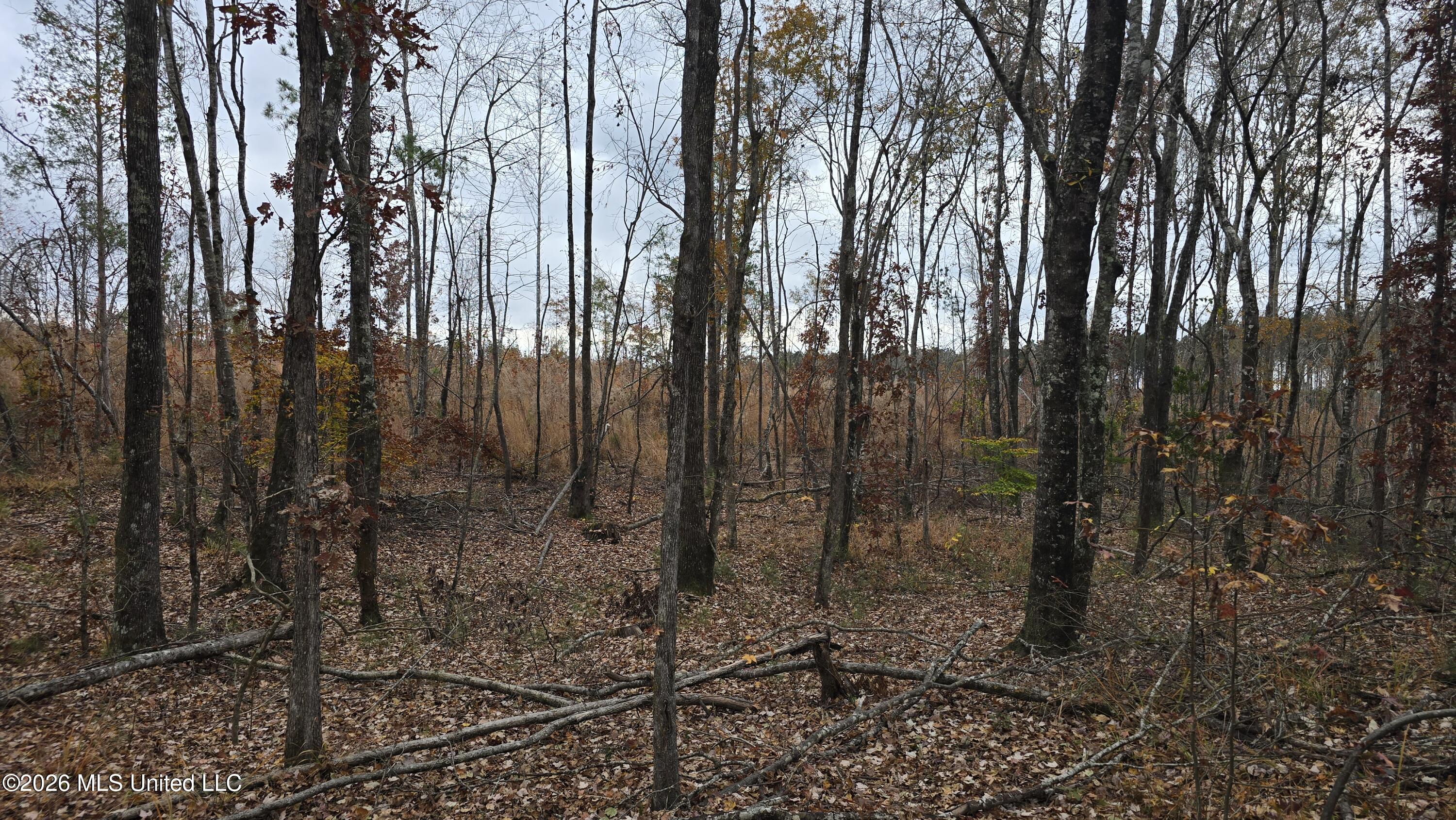 Old Trace Road Property Photo 23