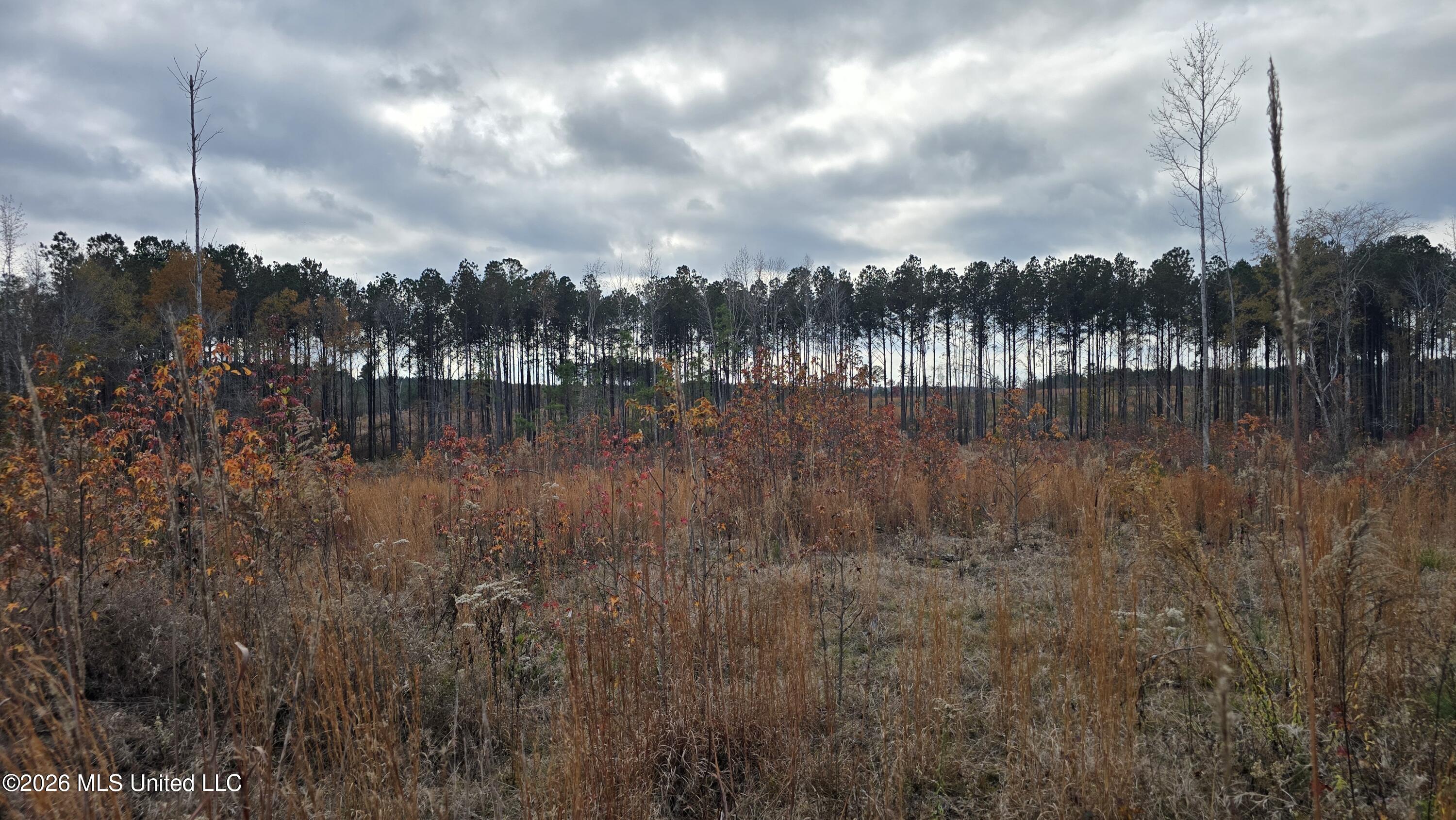 Old Trace Road Property Photo 26
