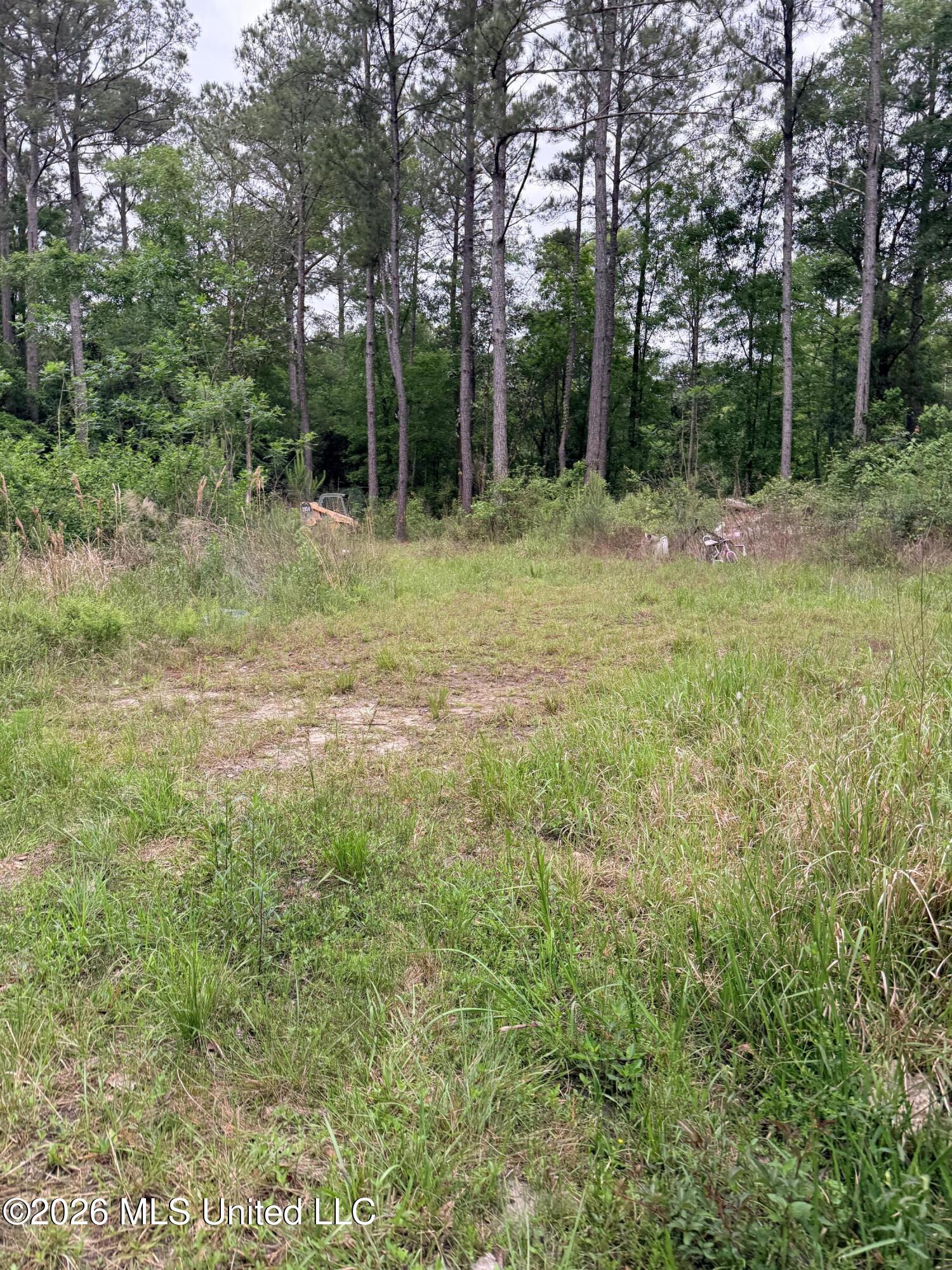 Kenneth Cole Road Property Photo 13