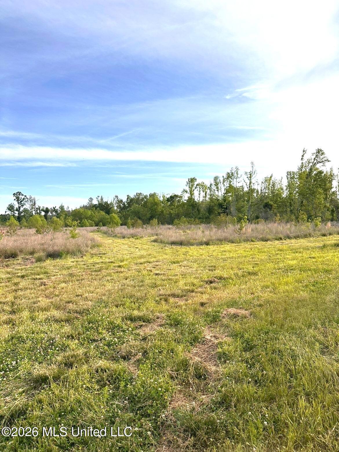 72 Summers Magee Road Property Photo 28