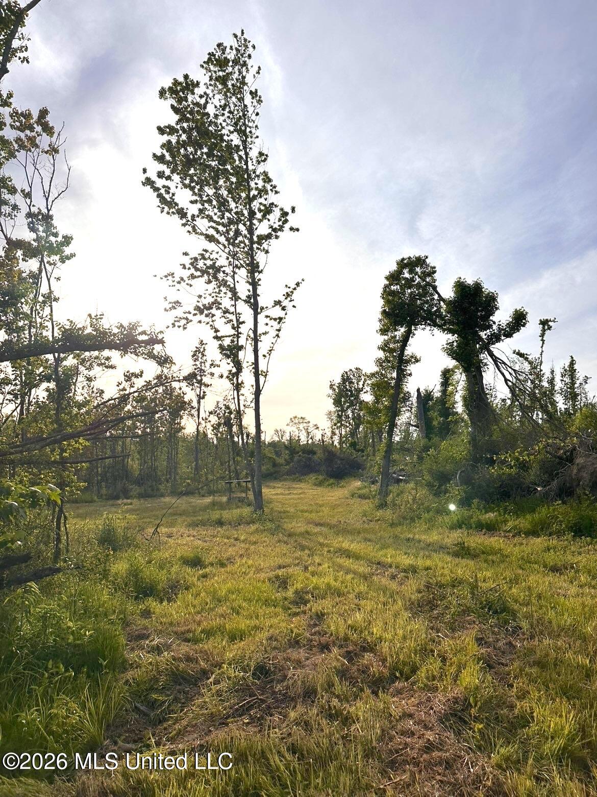 72 Summers Magee Road Property Photo 29