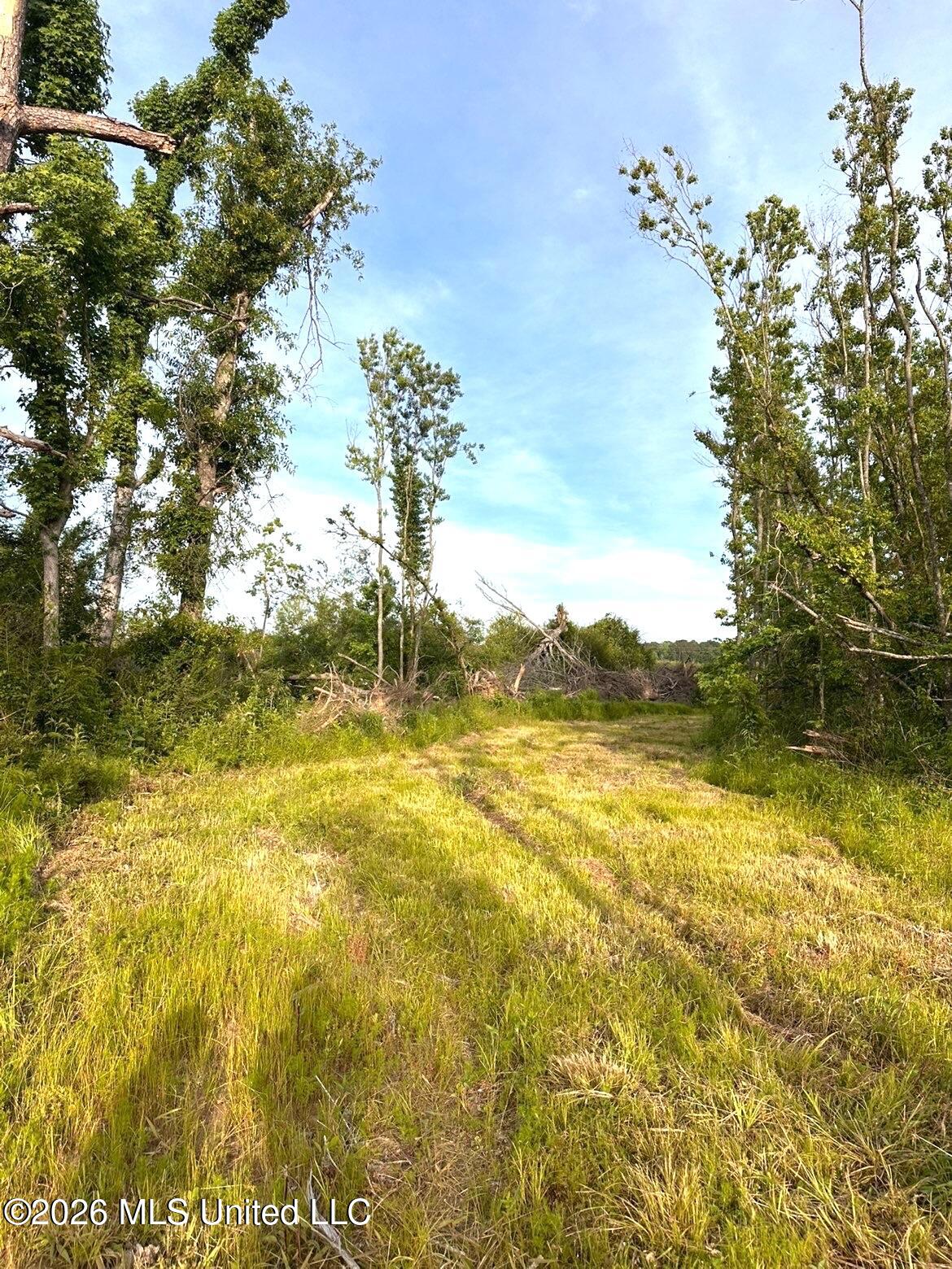 72 Summers Magee Road Property Photo 30