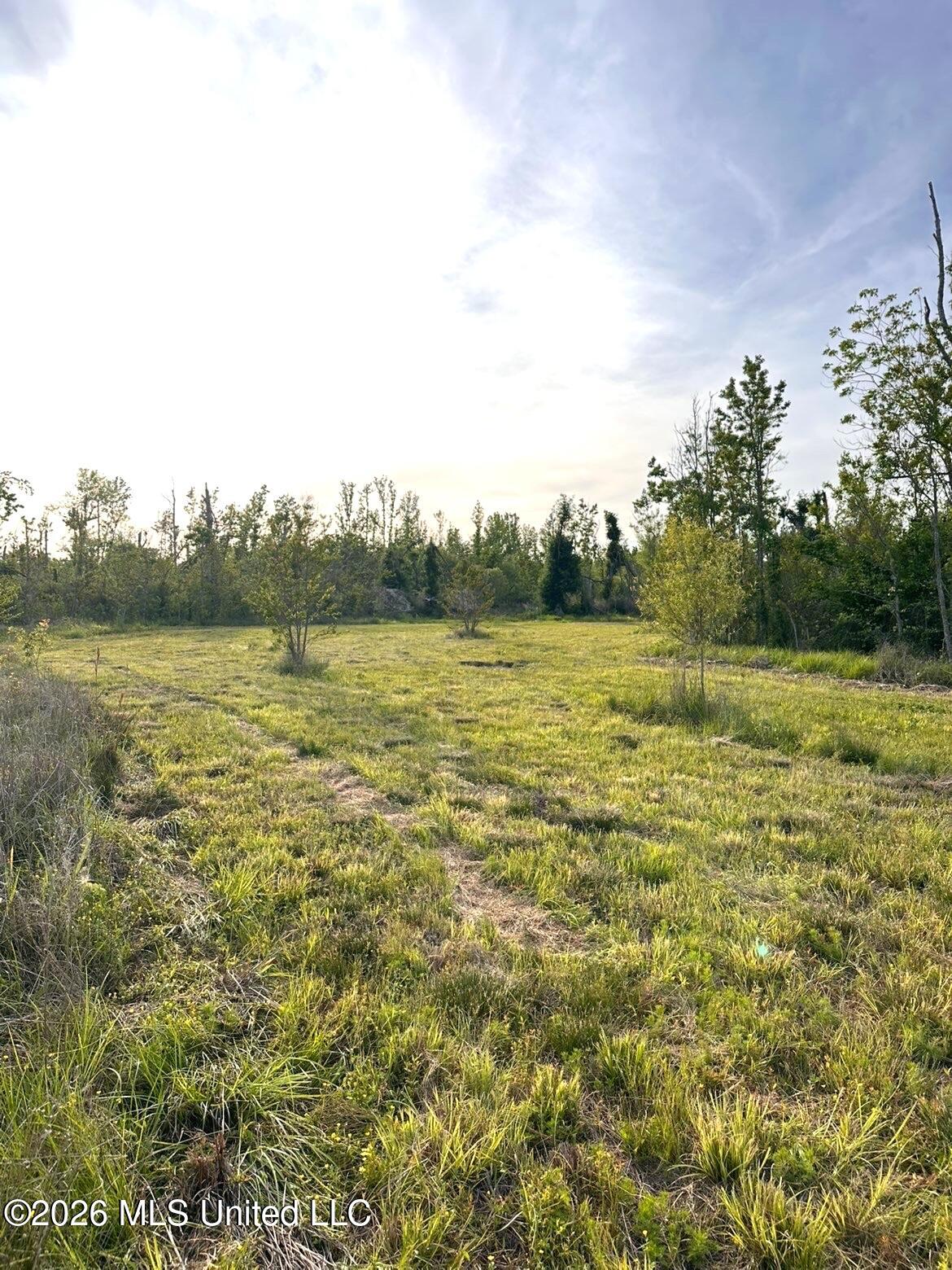 72 Summers Magee Road Property Photo 32