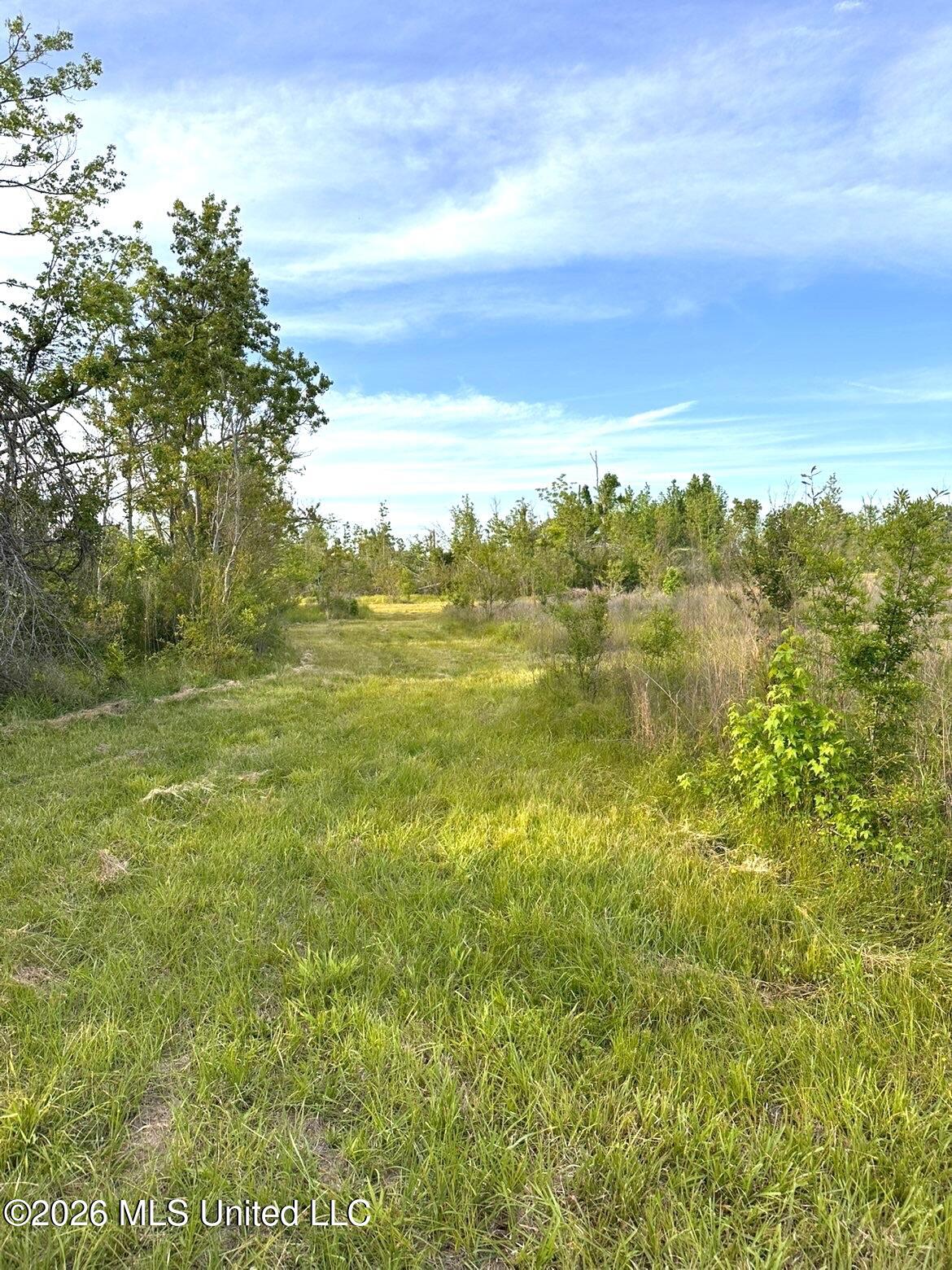 72 Summers Magee Road Property Photo 33