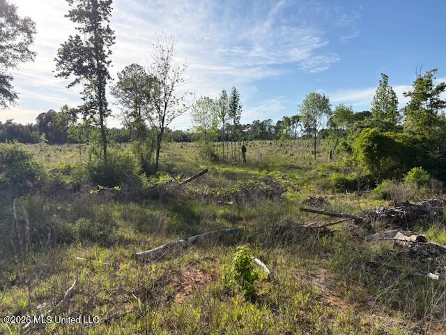 737 State Hwy 902 Property Photo 1