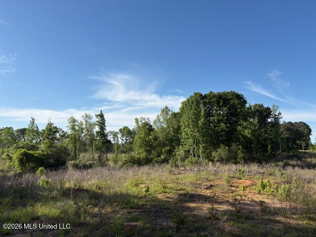 737 State Hwy 902 Property Photo 2