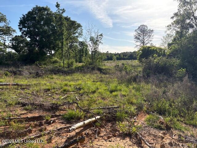 737 State Hwy 902 Property Photo 3