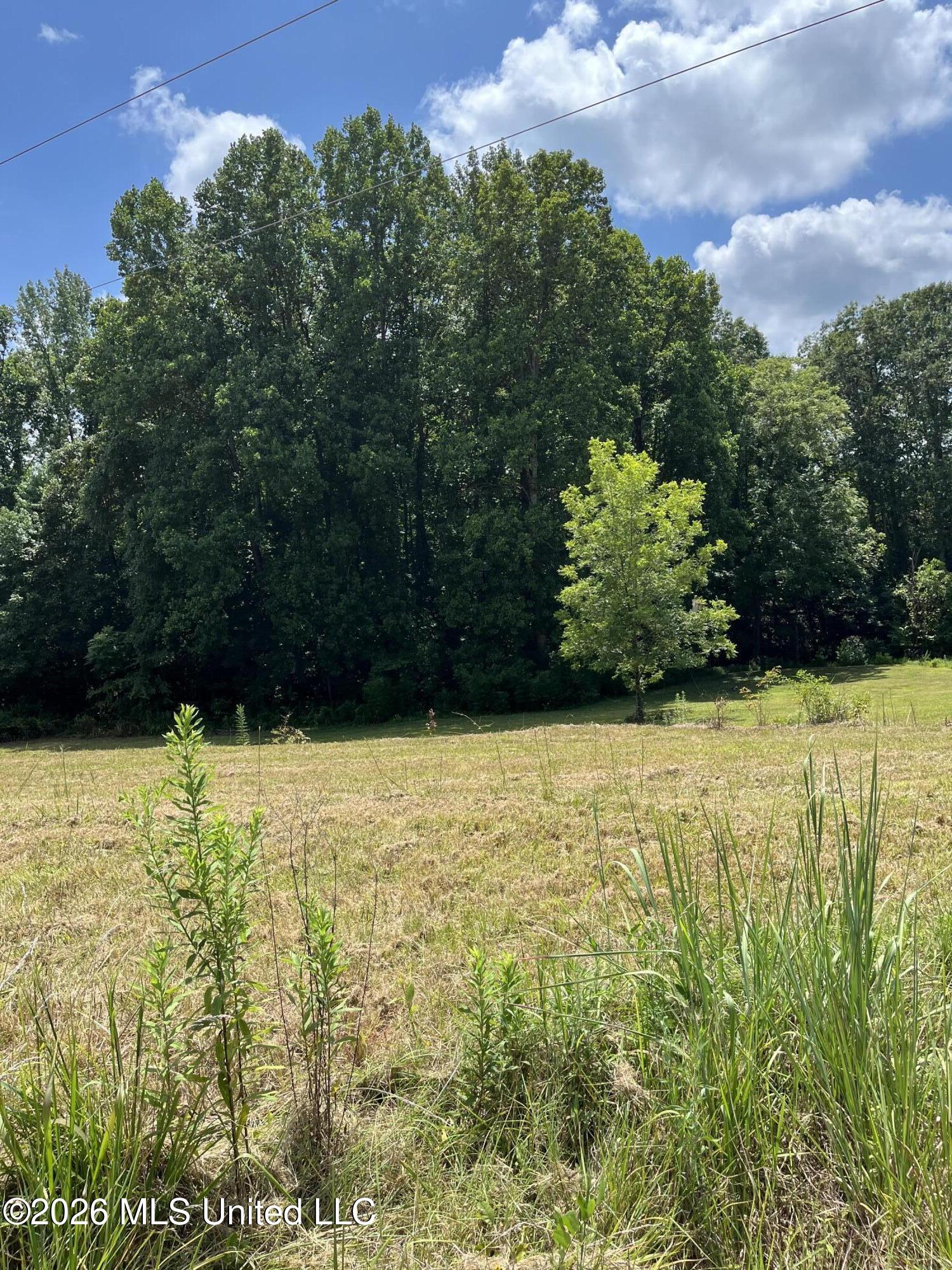 127 Parker Cove Property Photo 1