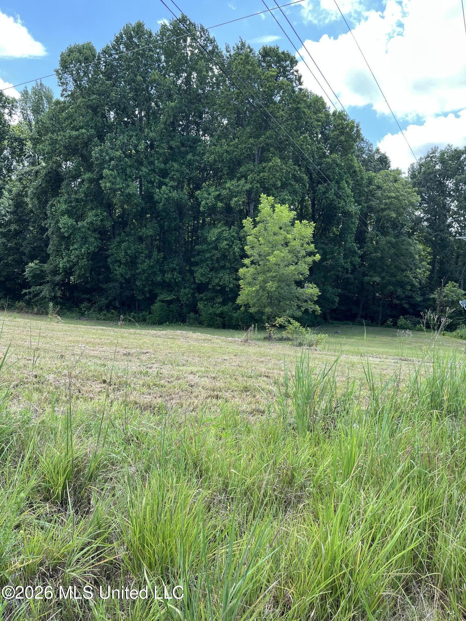 127 Parker Cove Property Photo 2