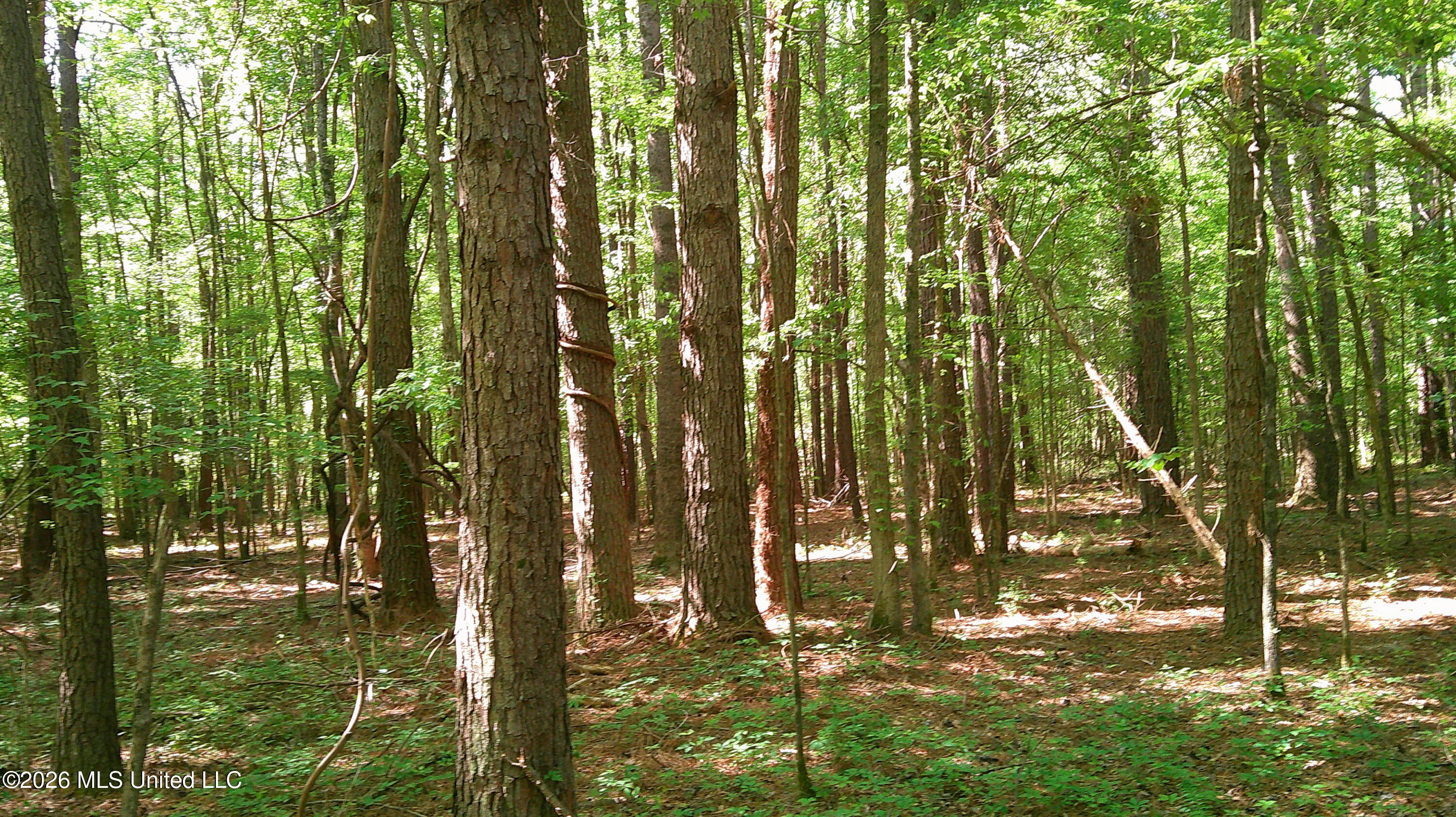 Pleasant Hills Road Property Photo 4