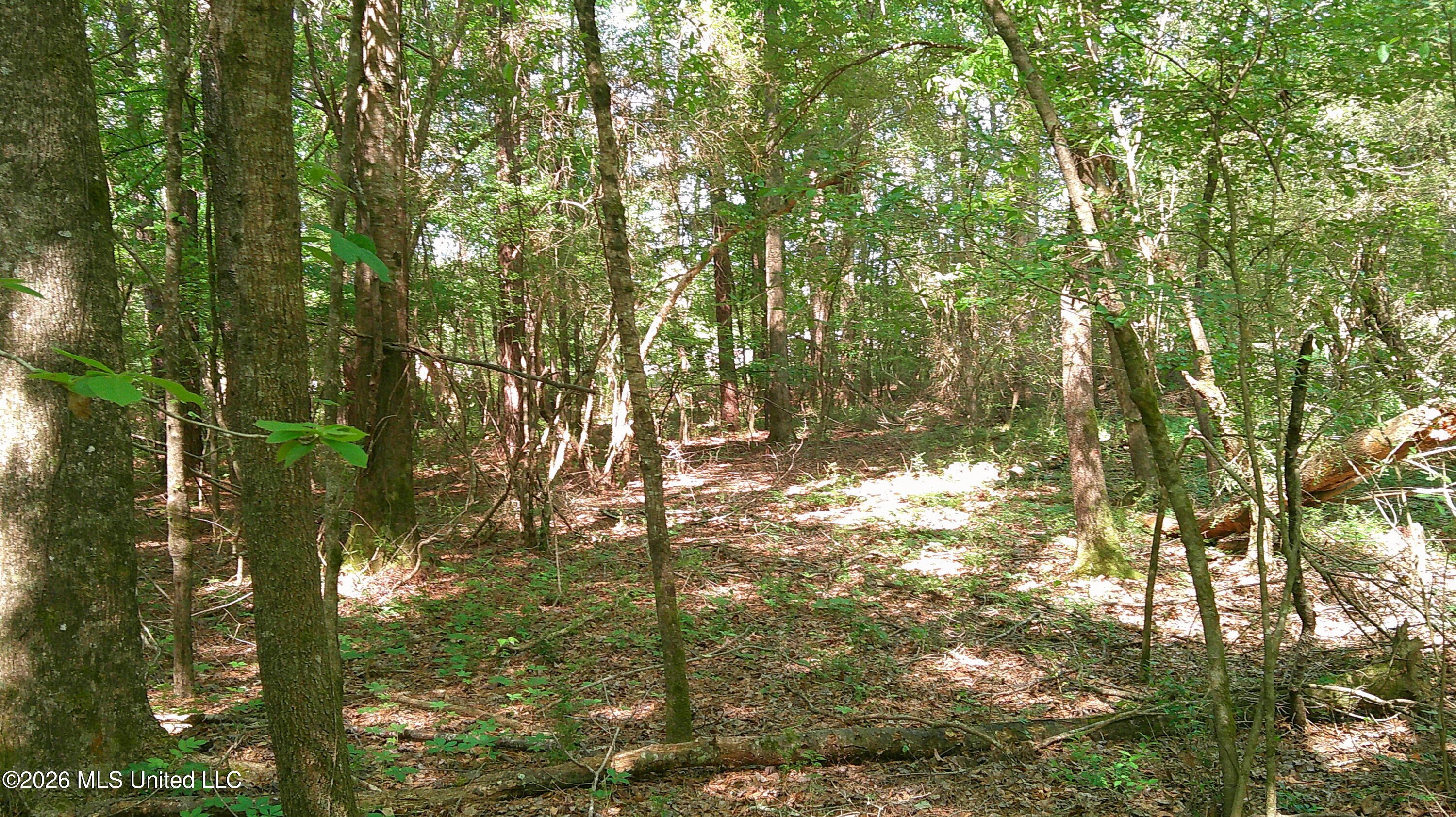 Pleasant Hills Road Property Photo 6