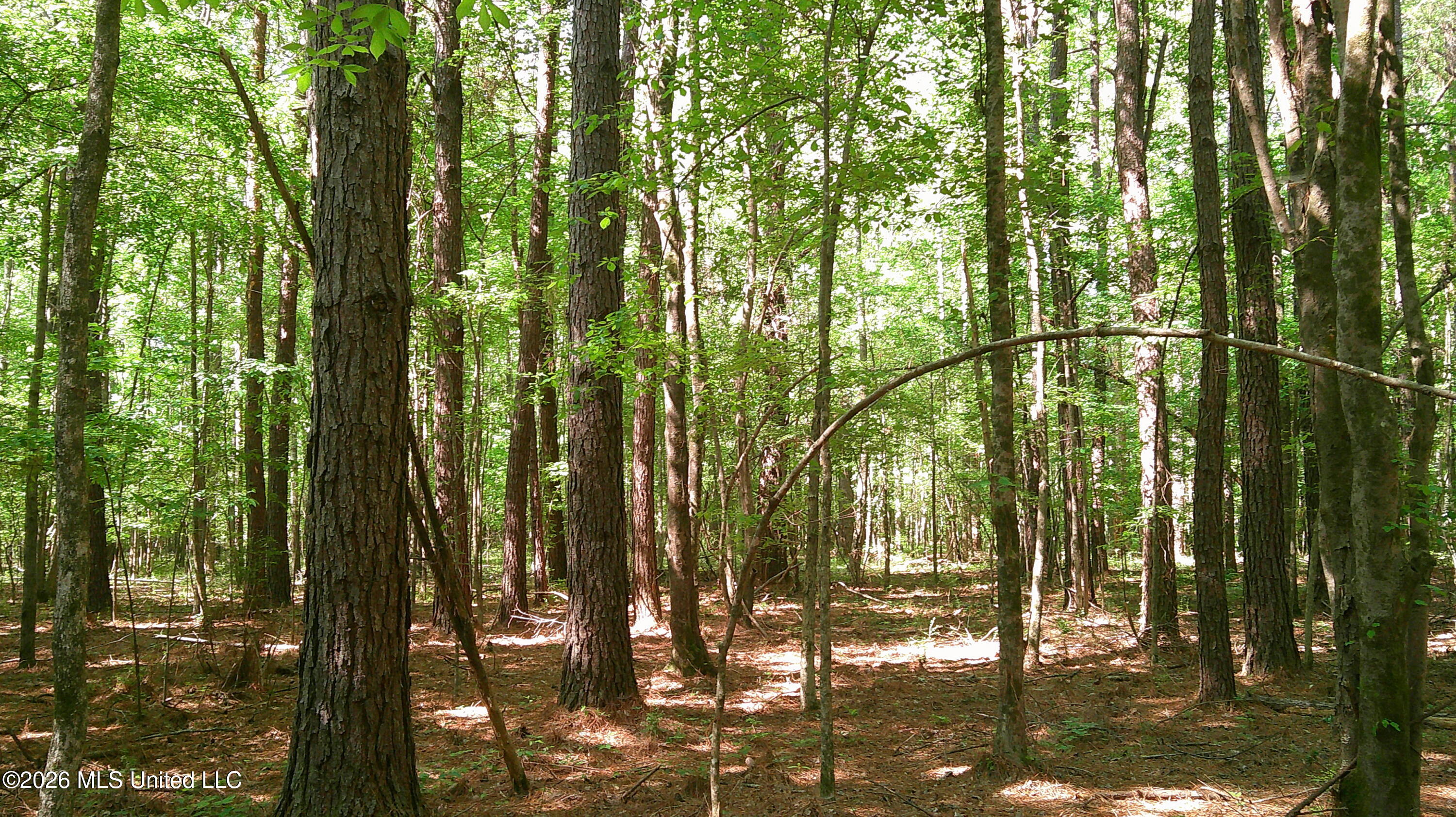 Pleasant Hills Road Property Photo 7