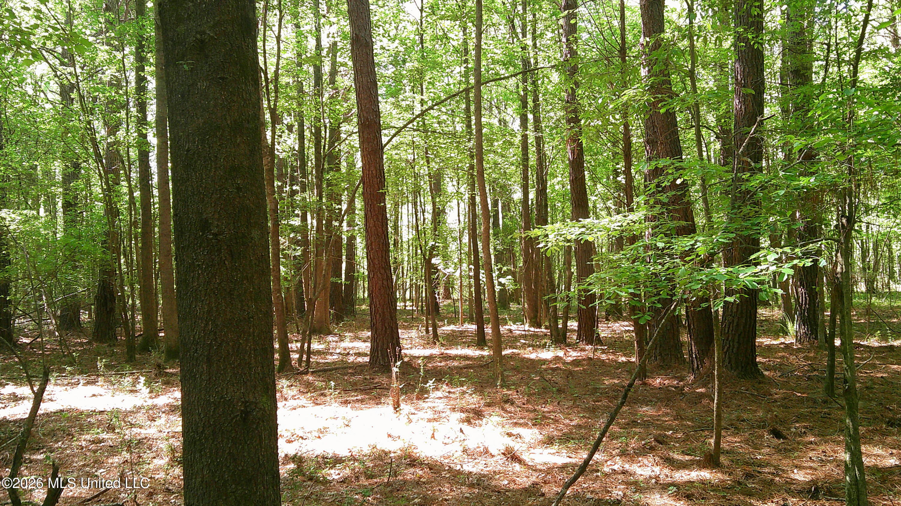 Pleasant Hills Road Property Photo 8