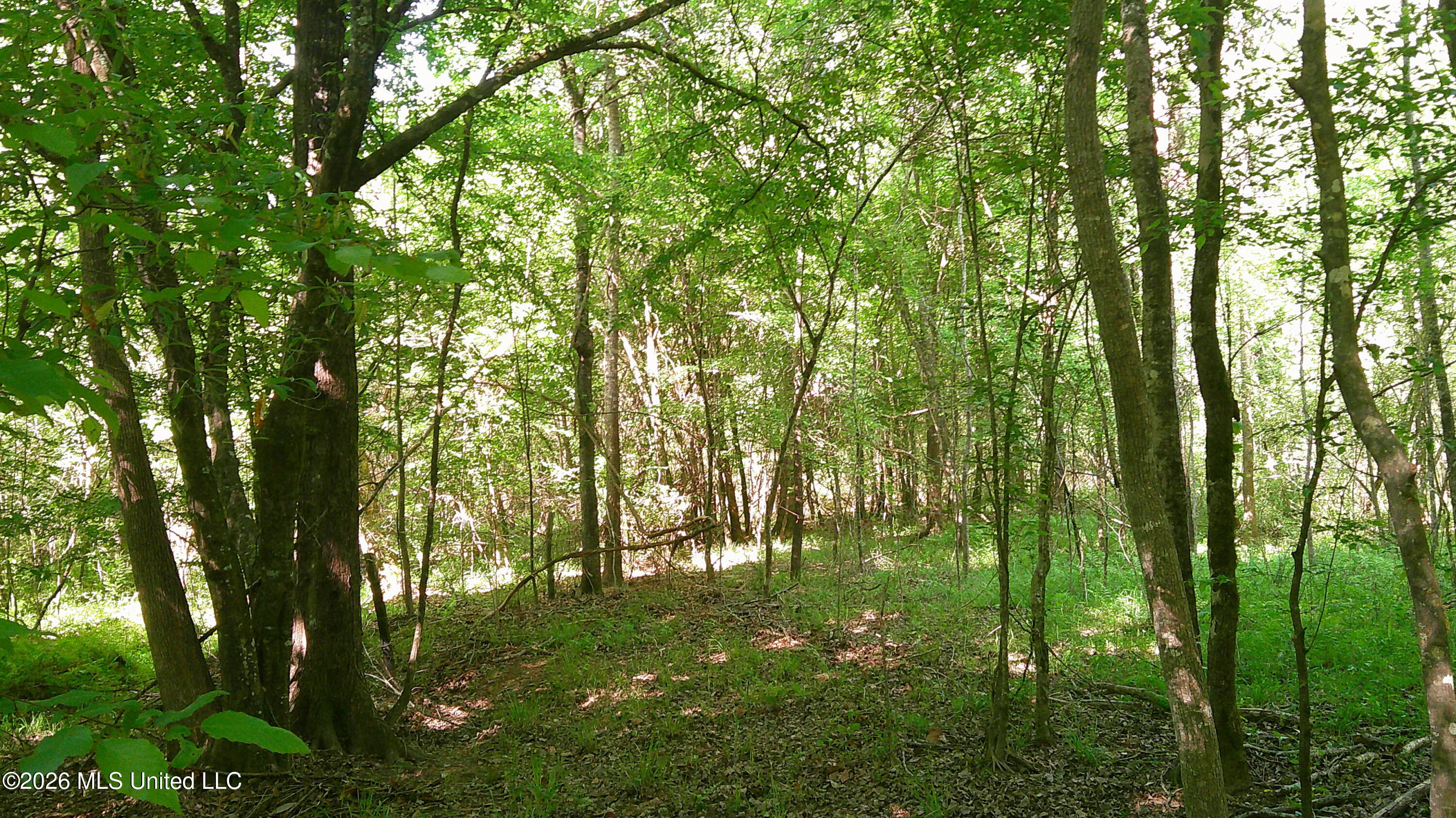 Pleasant Hills Road Property Photo 9