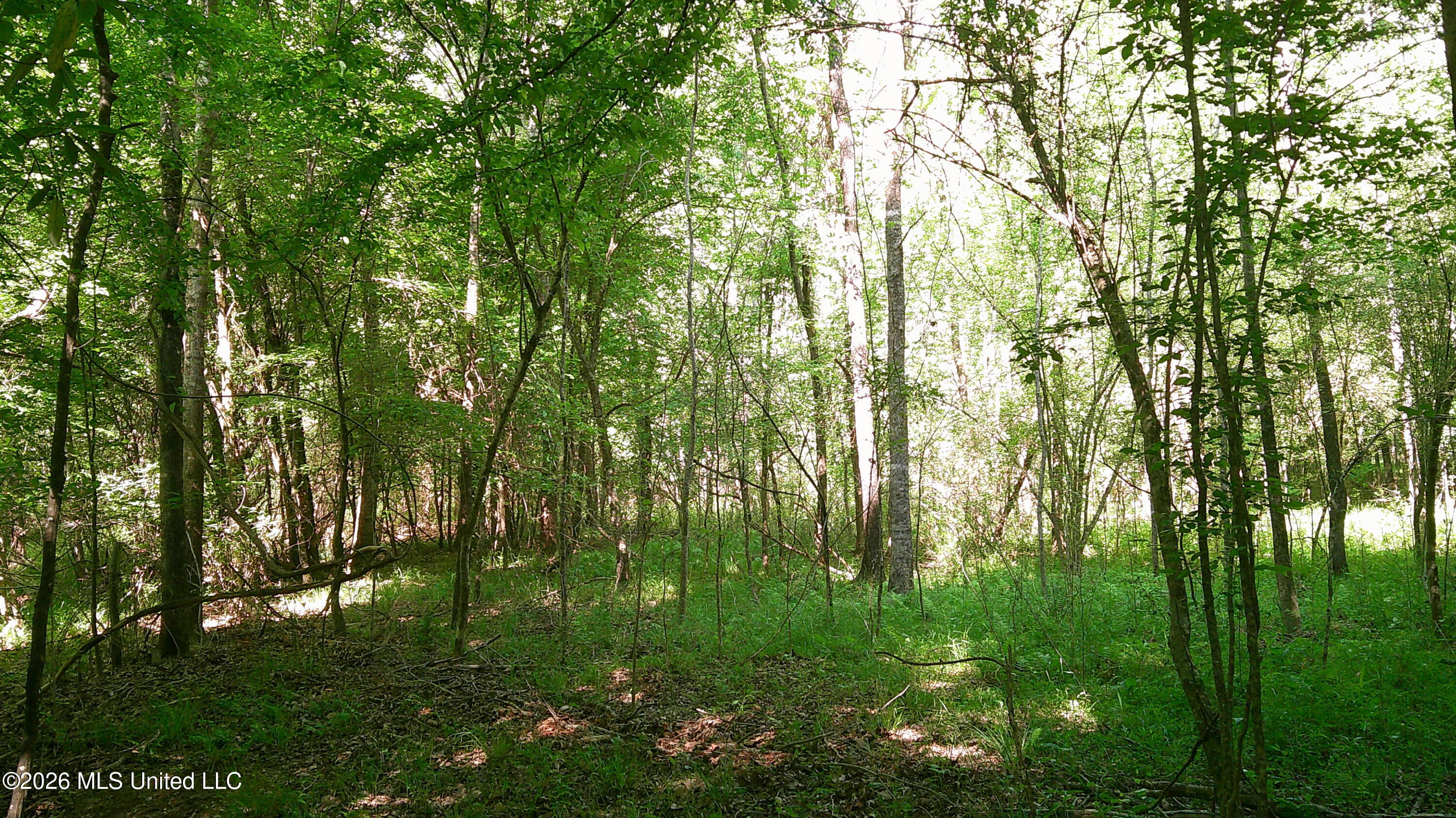 Pleasant Hills Road Property Photo 10