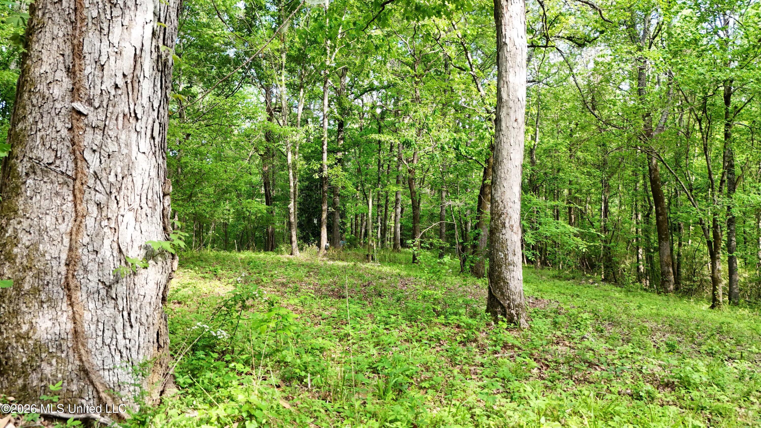 9426 Highway 315 Property Photo 4