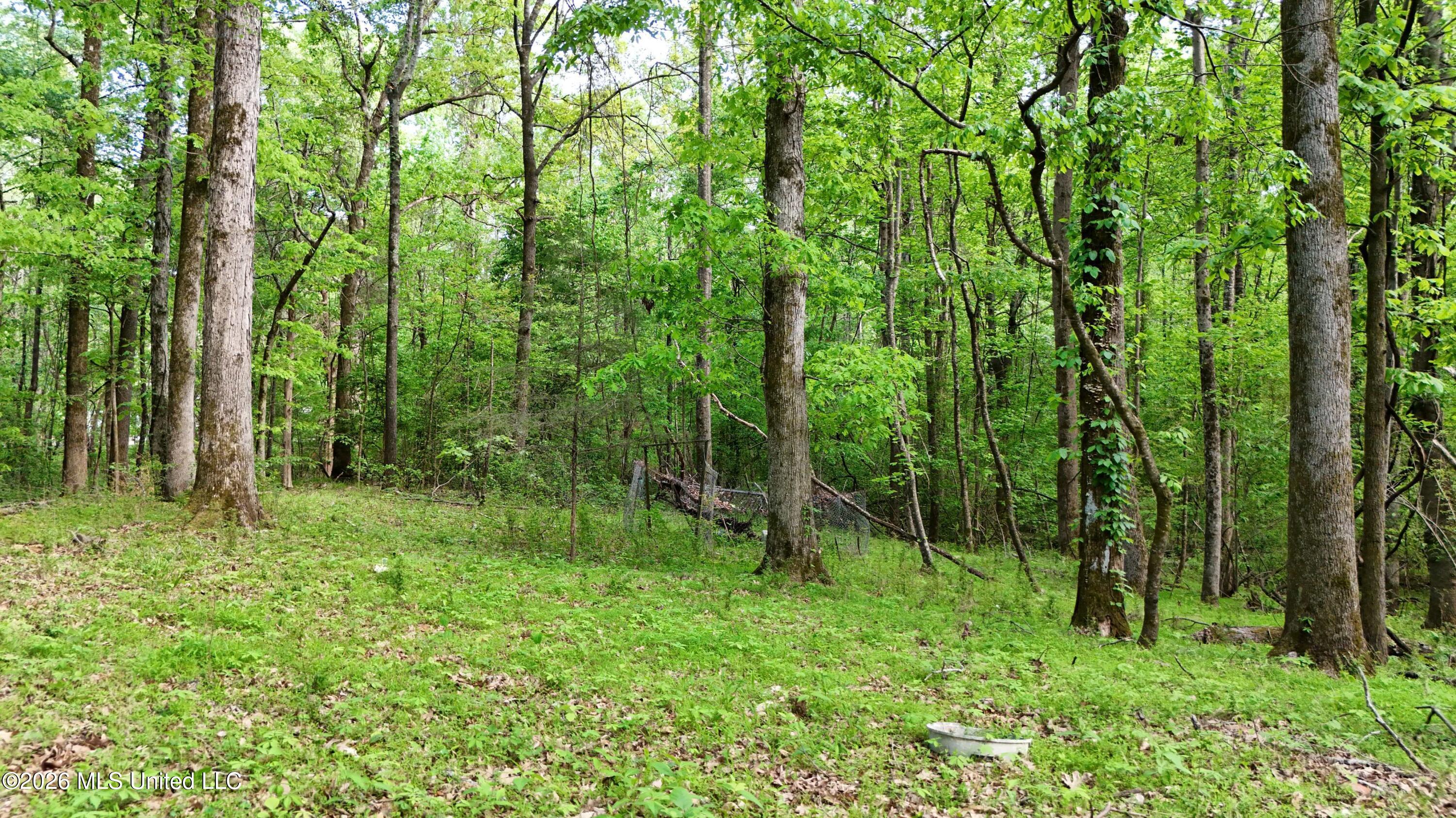 9426 Highway 315 Property Photo 9