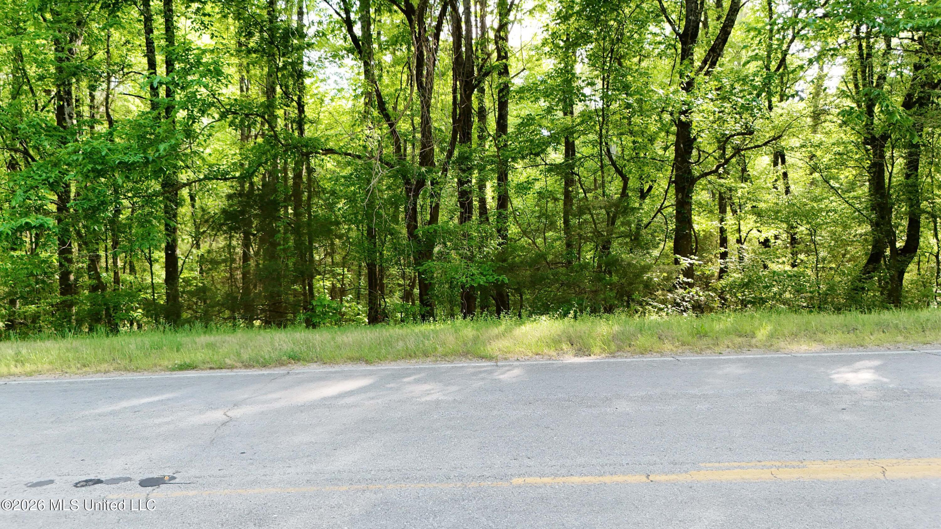 9426 Highway 315 Property Photo 10