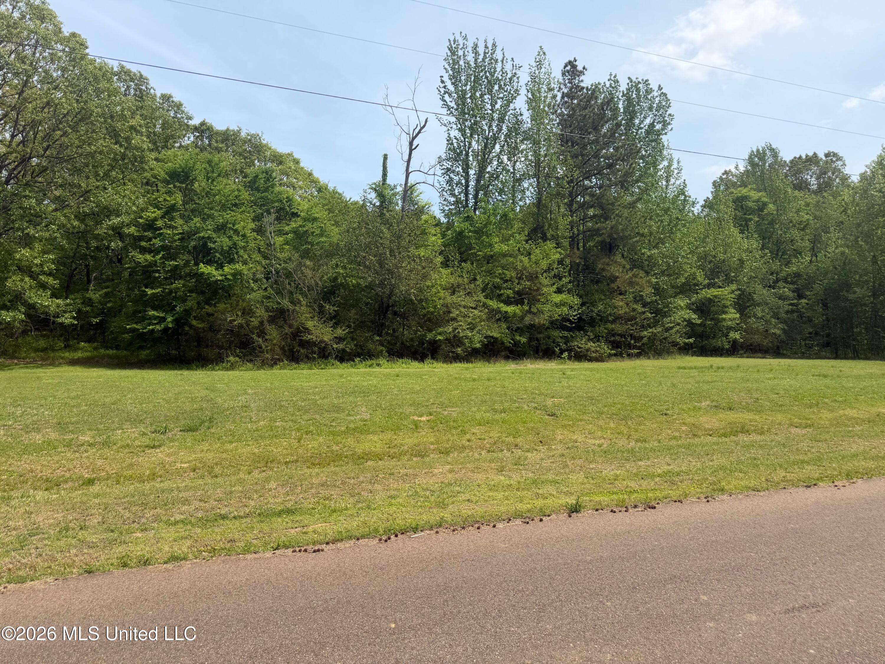Shamrock Loop Property Photo 1