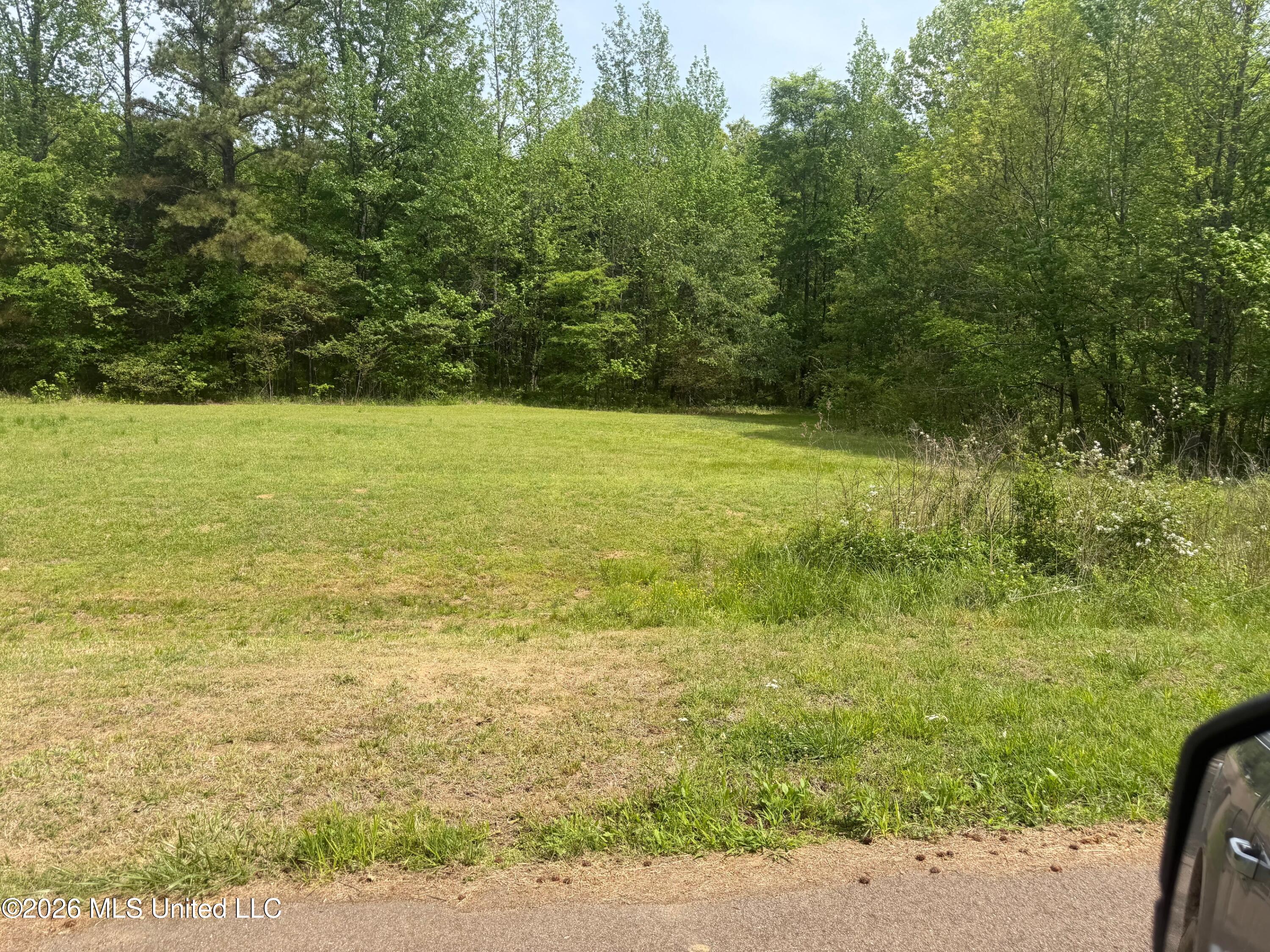 Shamrock Loop Property Photo 2