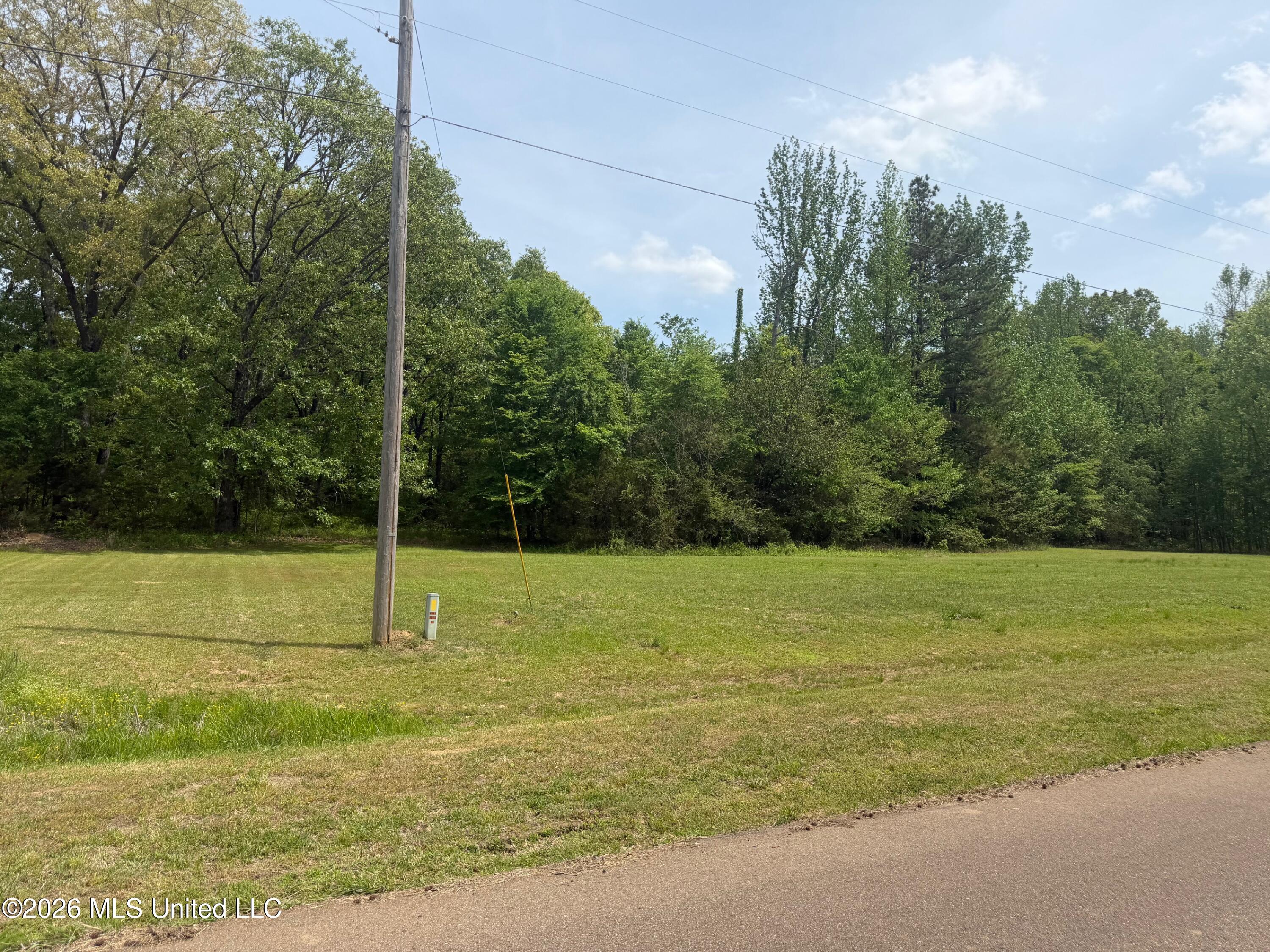 Shamrock Loop Property Photo 3