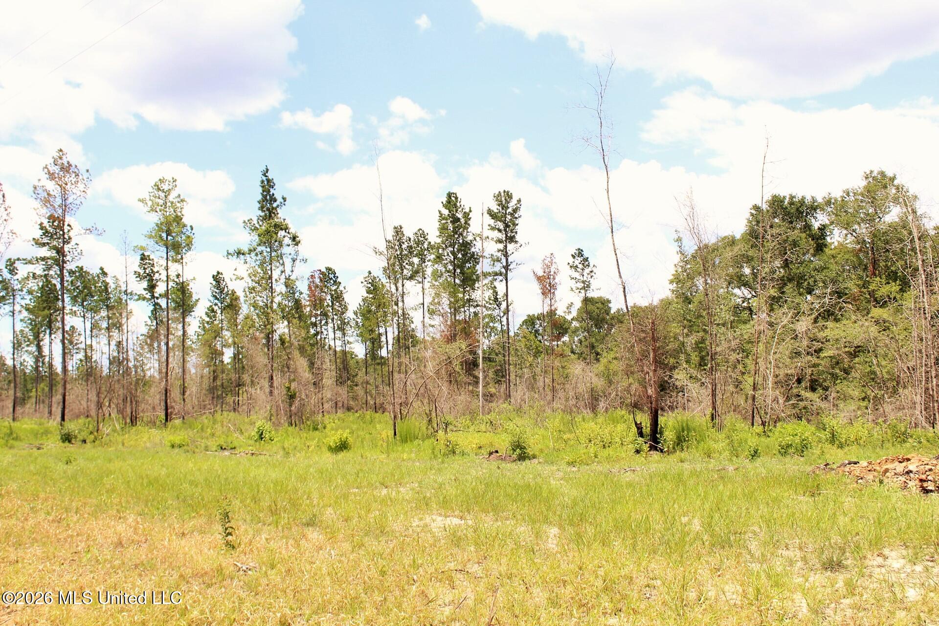 3.78ac Cottonwood Drive Property Photo 1