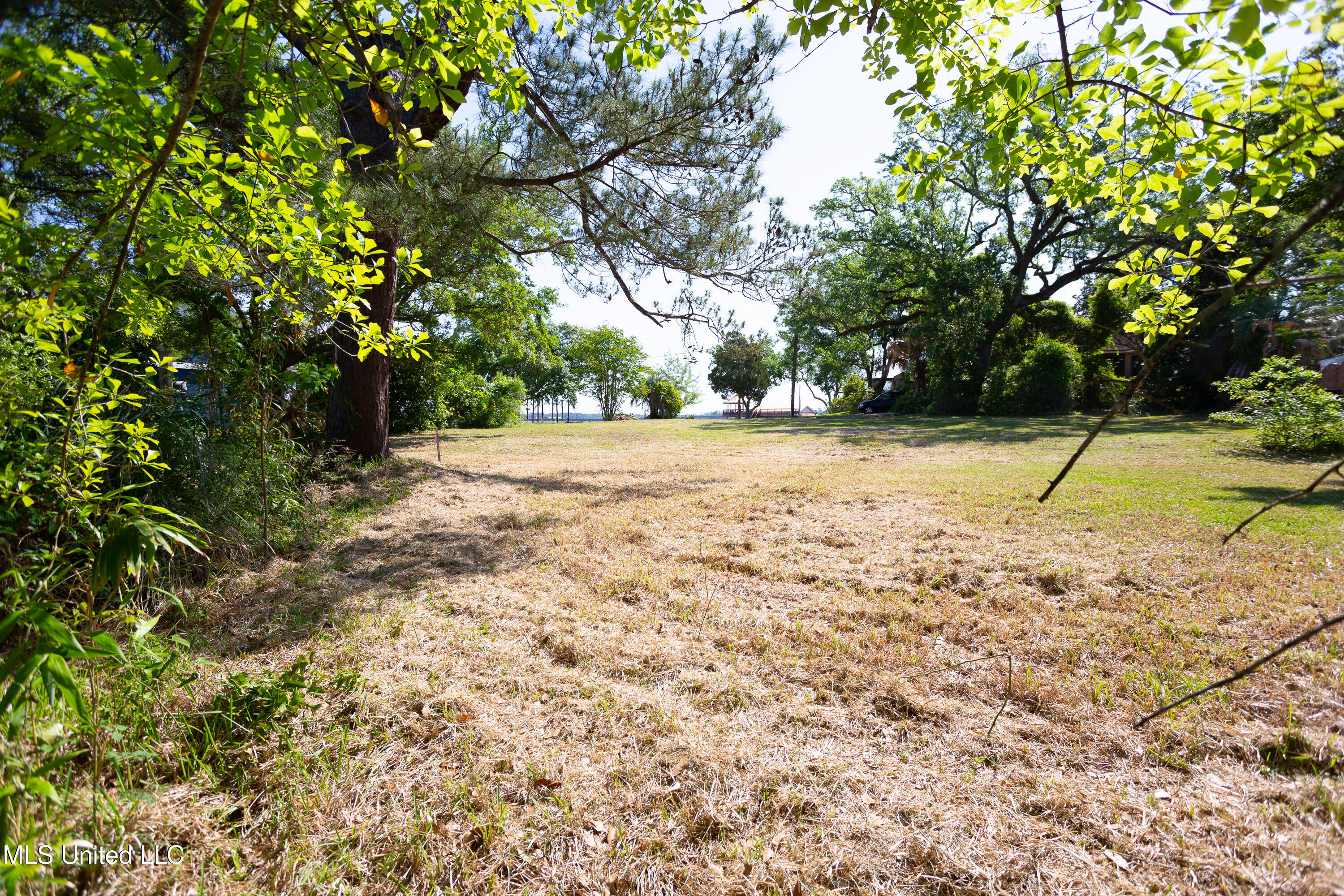 1305 Cove Avenue Property Photo 2