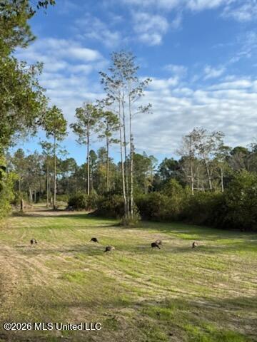 0 Mark Drive Property Photo 23