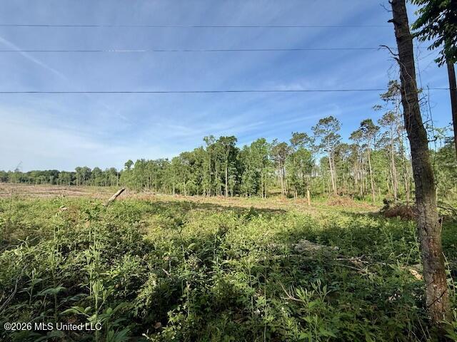 J W Miller Road Property Photo 4