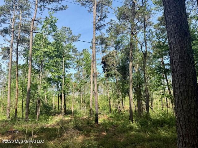 J W Miller Road Property Photo 6