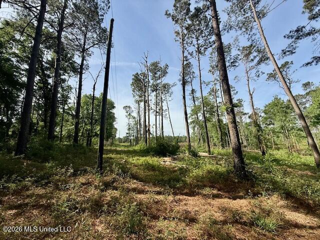 J W Miller Road Property Photo 10