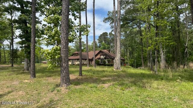 116 Meadowview Drive Property Photo 1