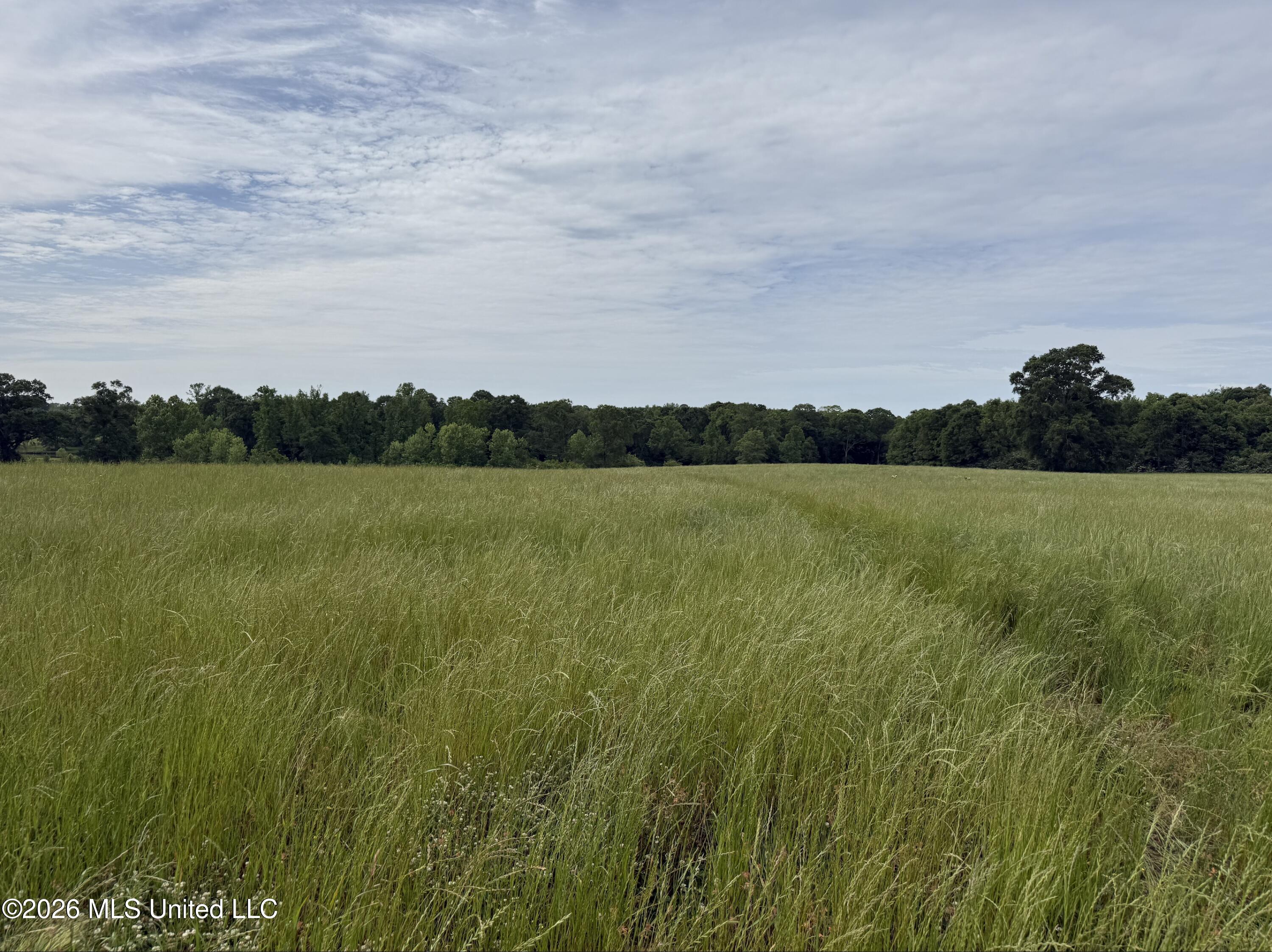813 Holmesville Road Property Photo 3