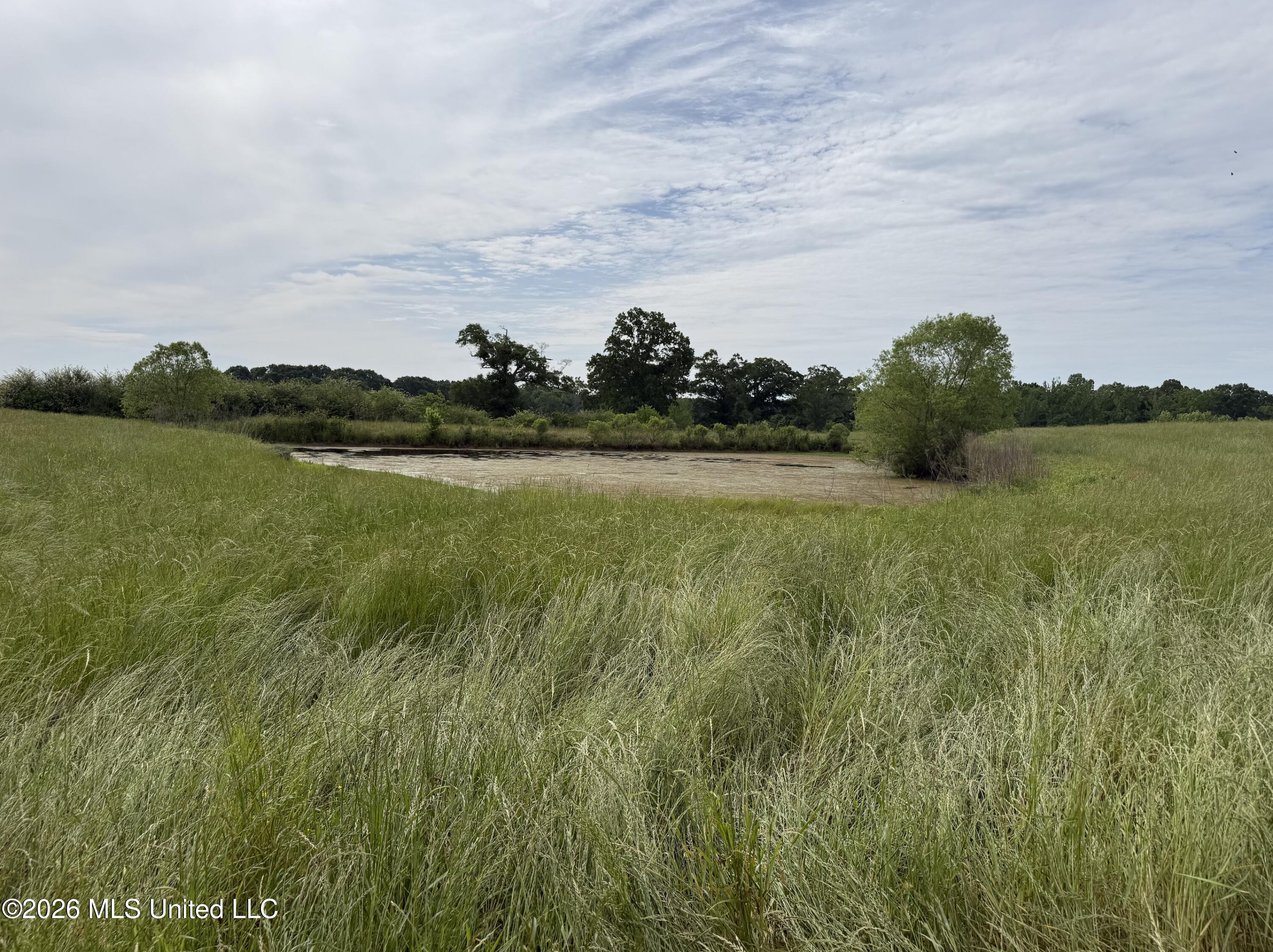 813 Holmesville Road Property Photo 4