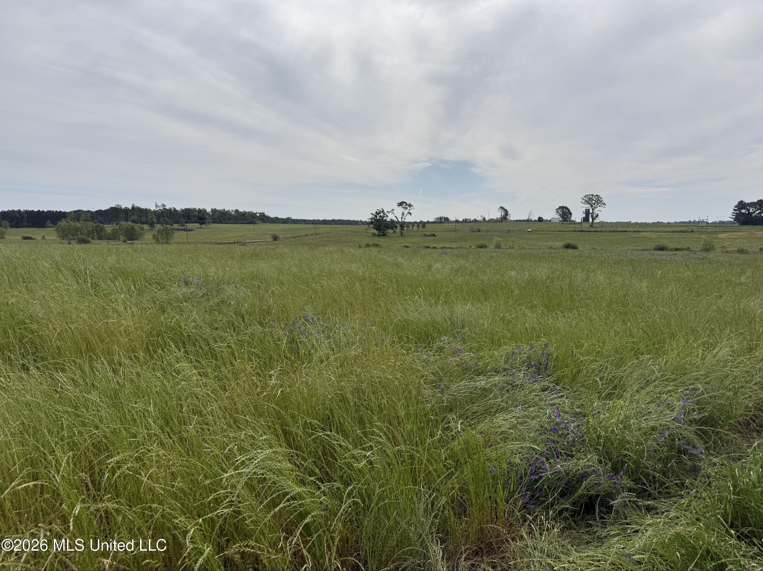 813 Holmesville Road Property Photo 5