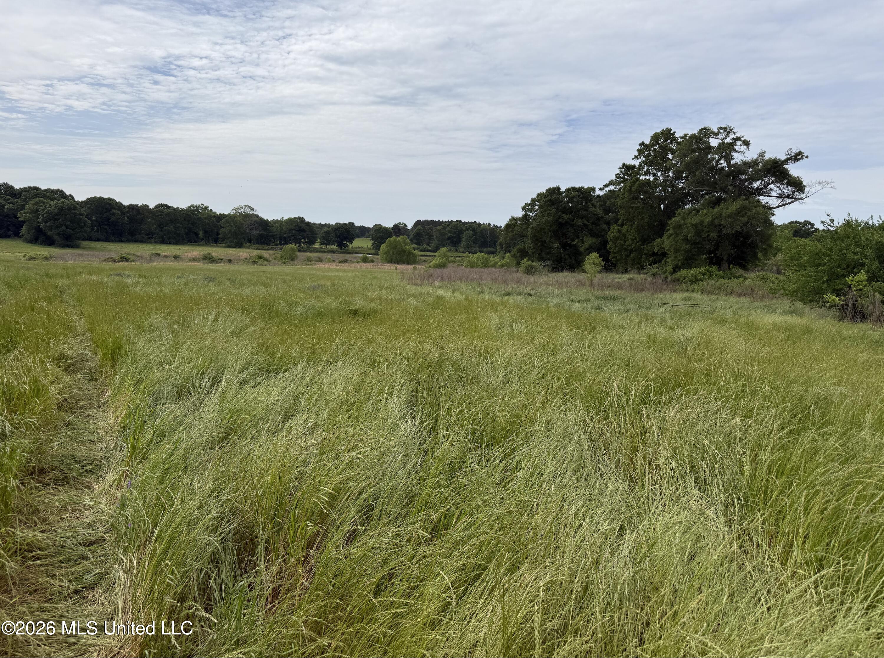 813 Holmesville Road Property Photo 6