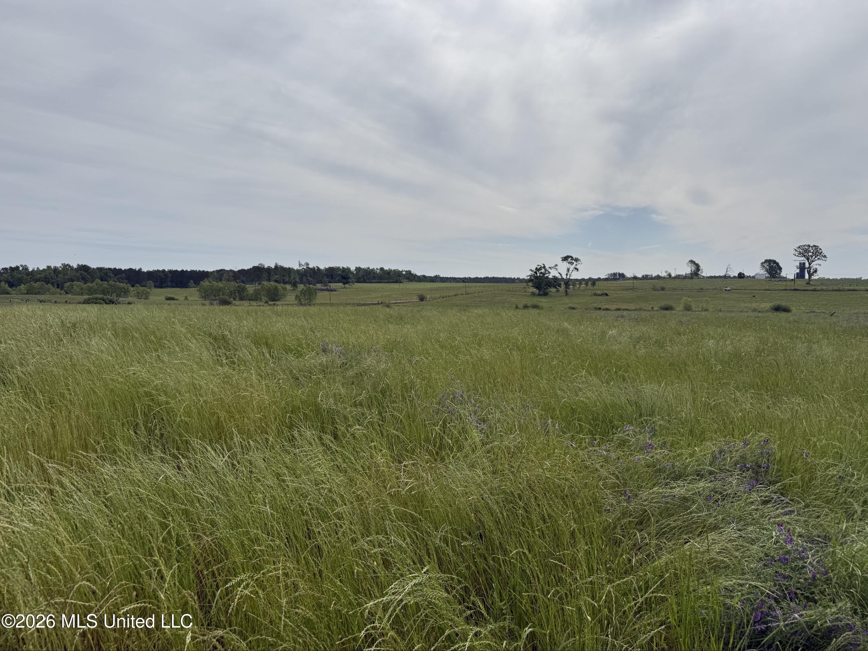 813 Holmesville Road Property Photo 7