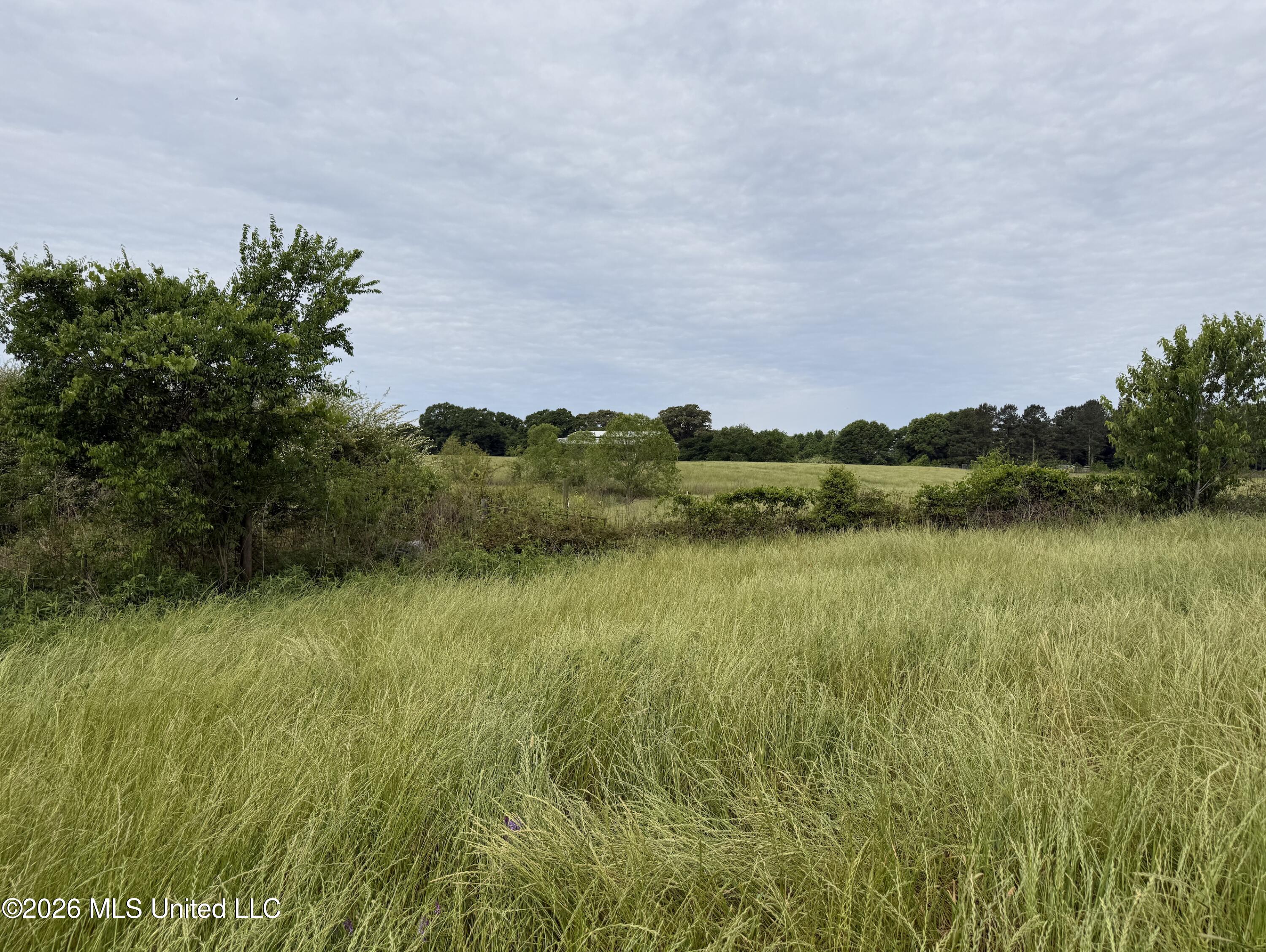813 Holmesville Road Property Photo 8