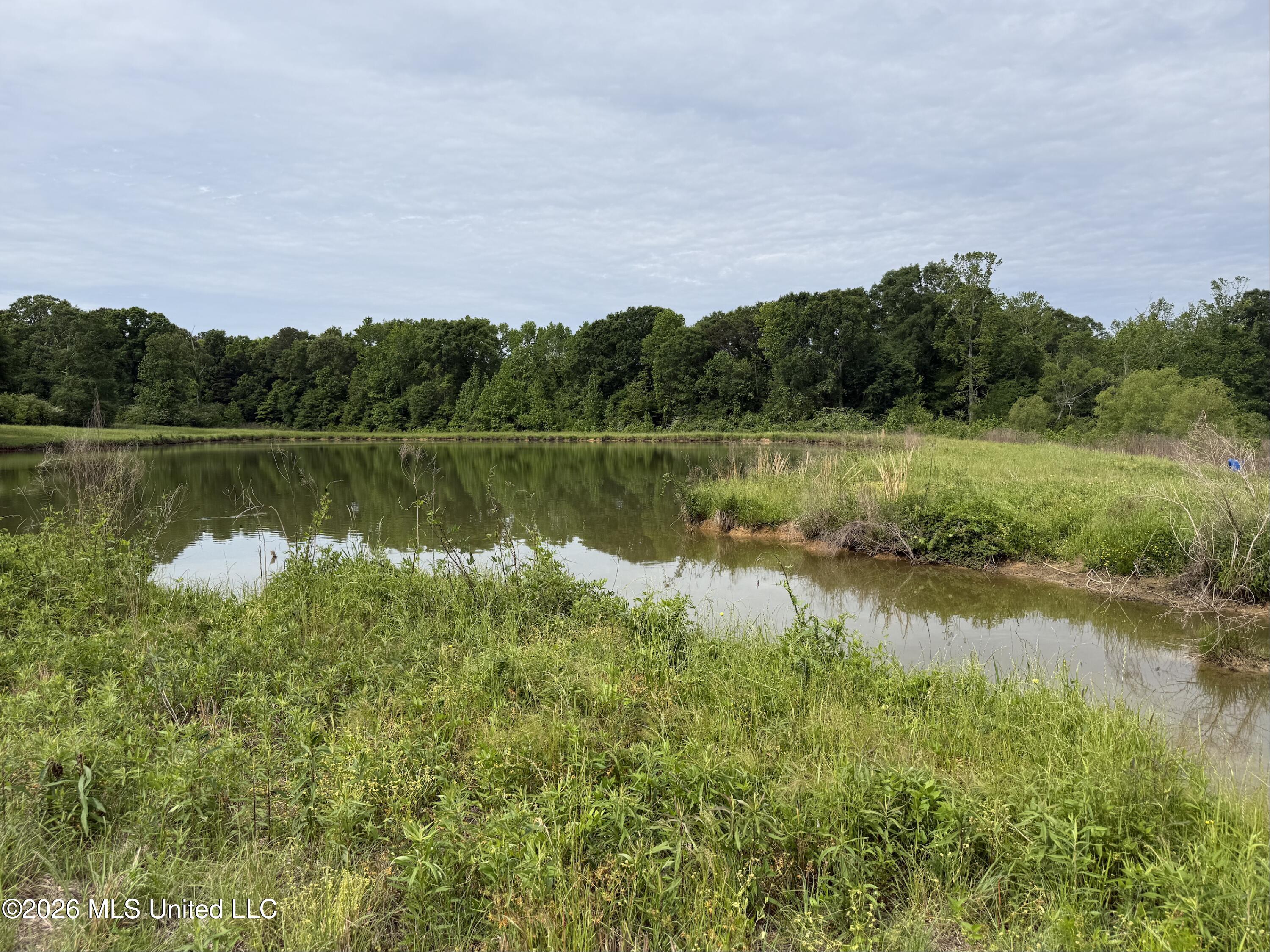 813 Holmesville Road Property Photo 9