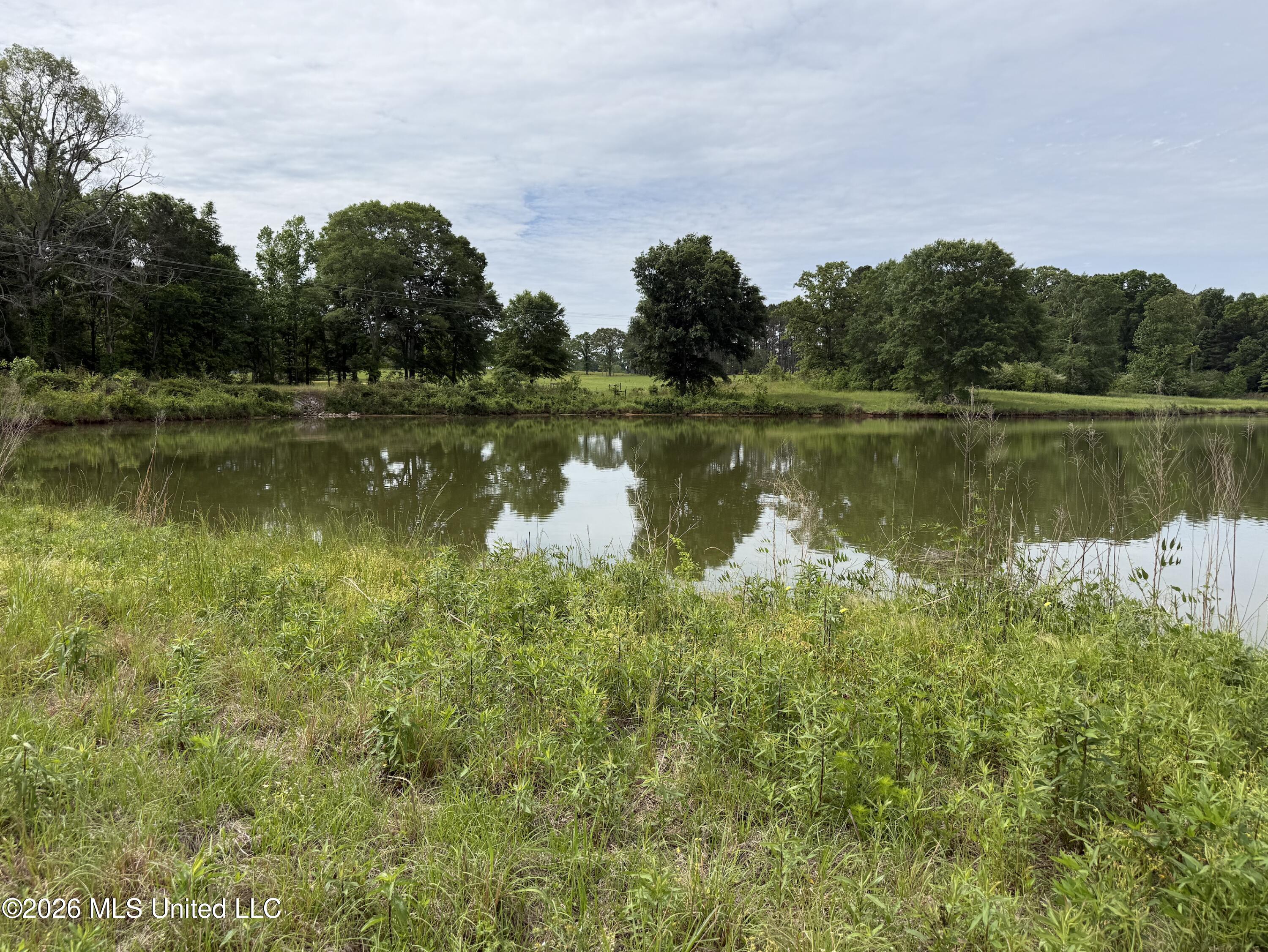 813 Holmesville Road Property Photo 10