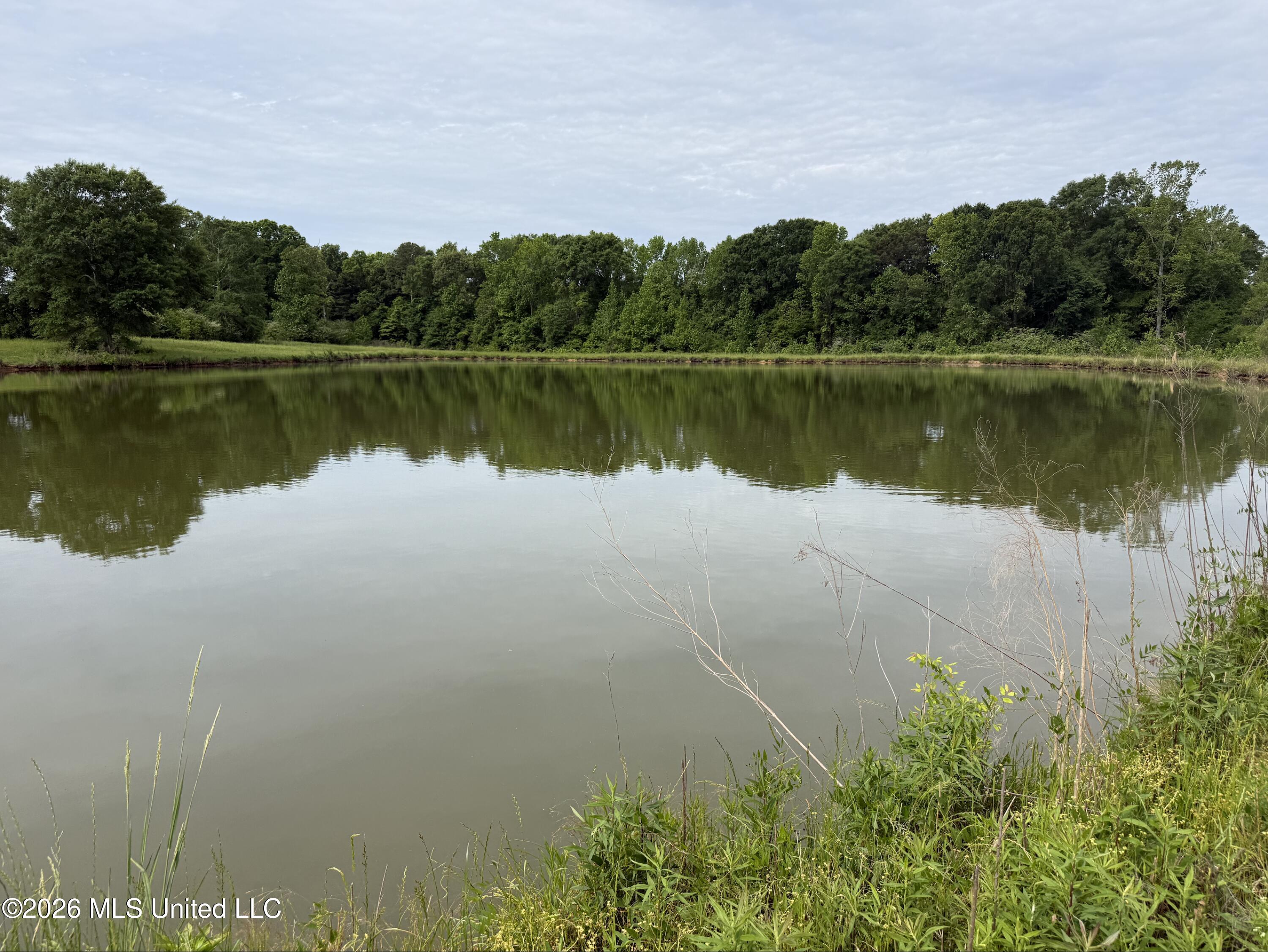 813 Holmesville Road Property Photo 11