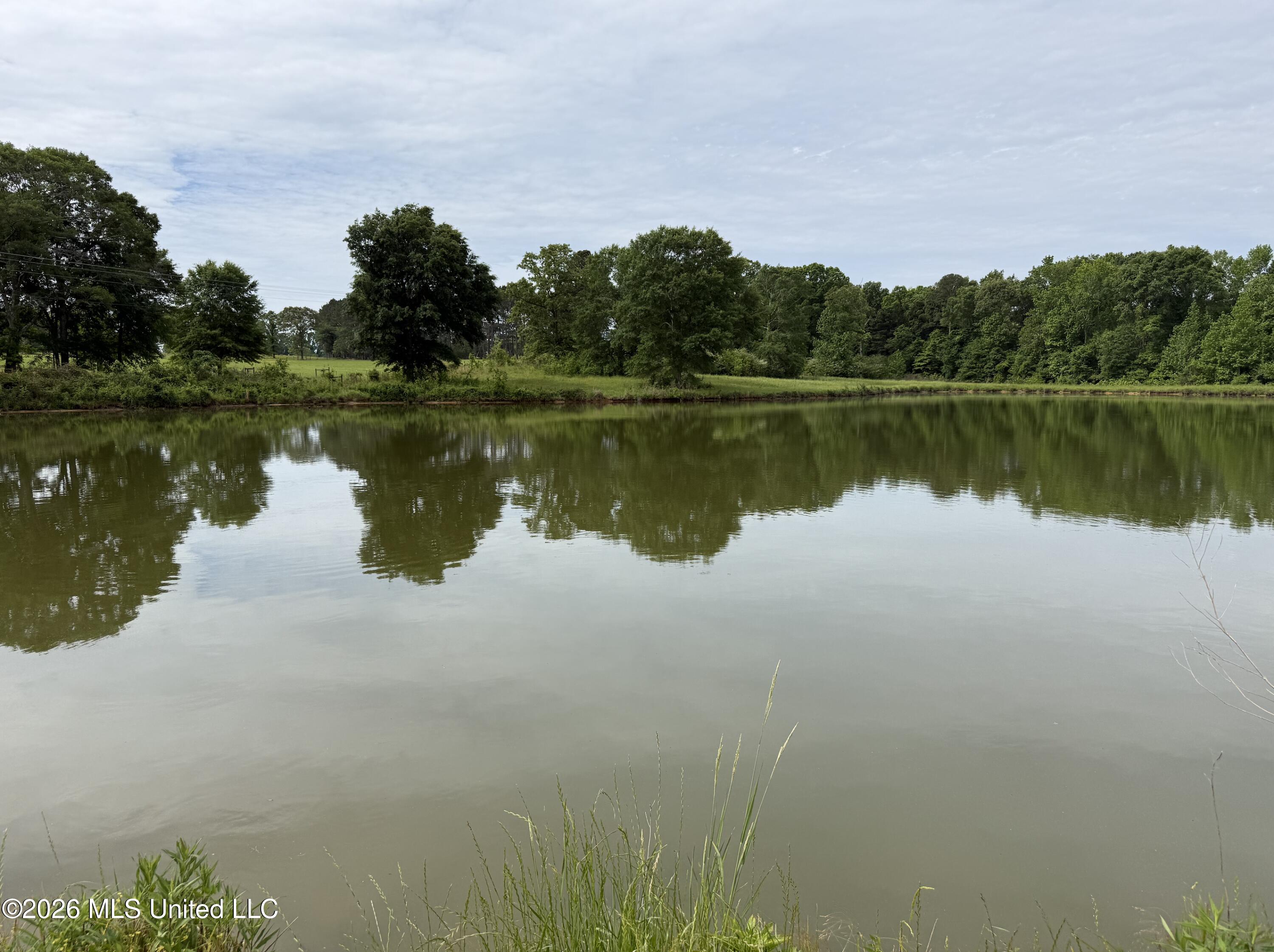 813 Holmesville Road Property Photo 12