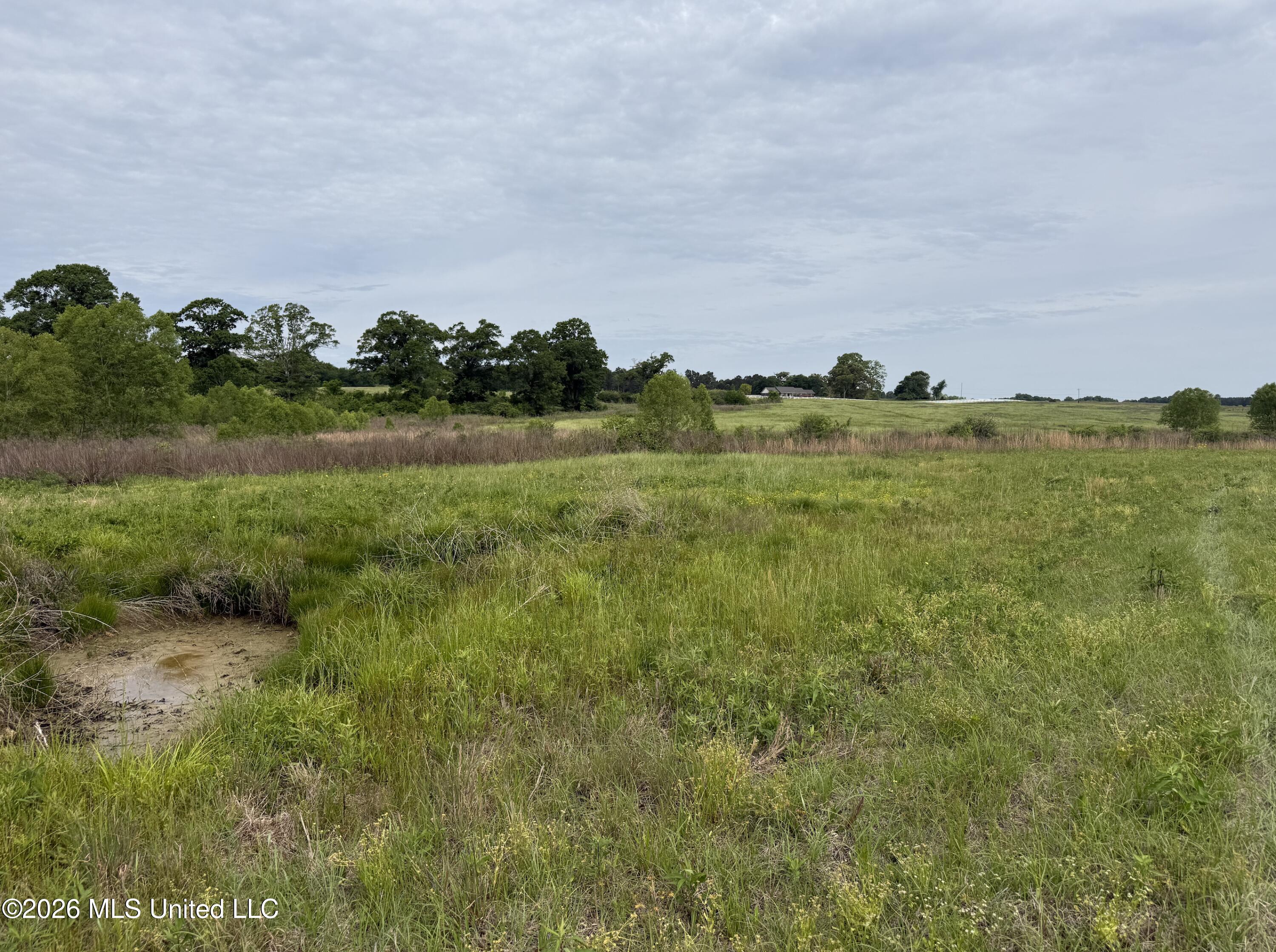 813 Holmesville Road Property Photo 13