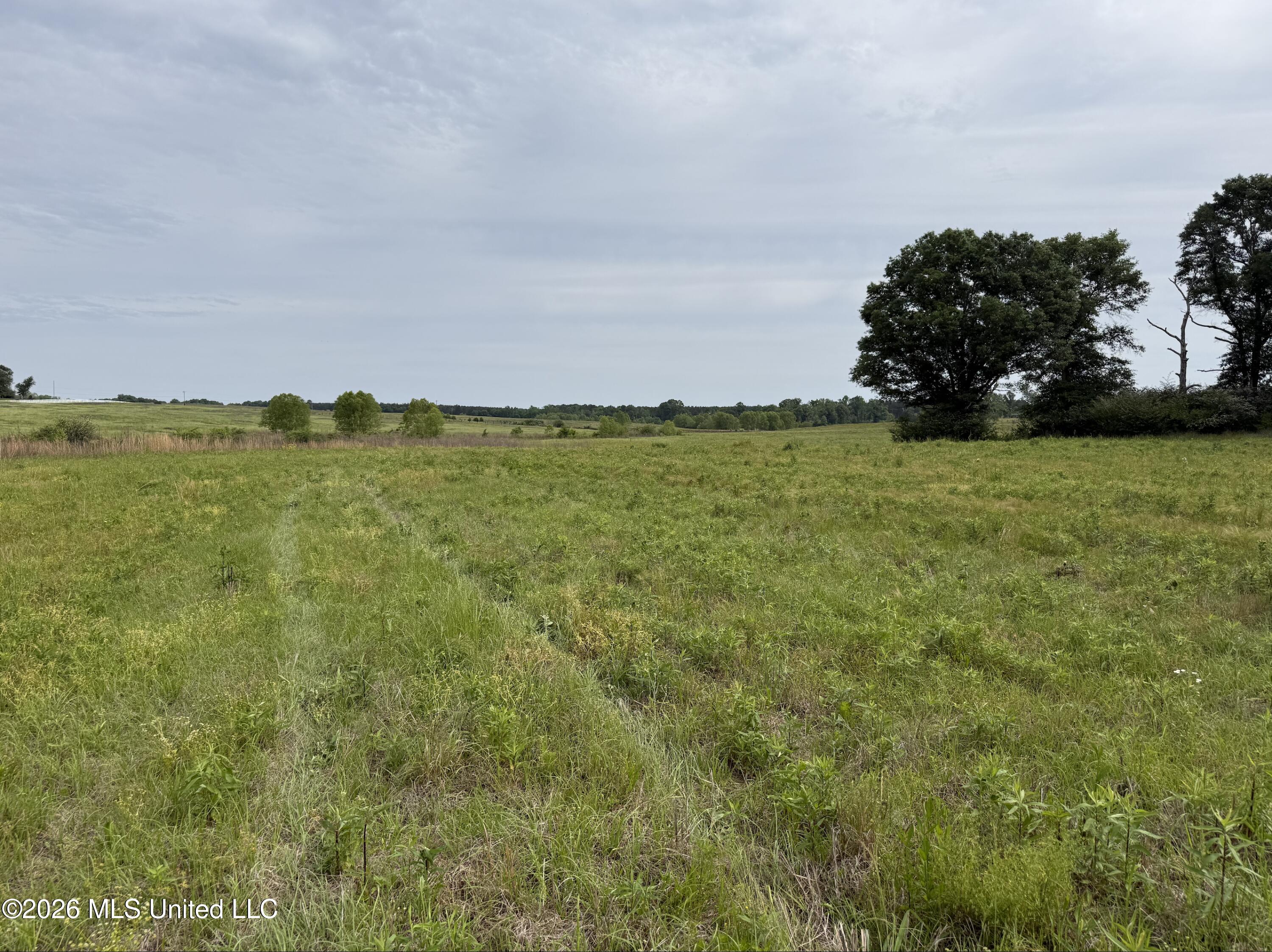 813 Holmesville Road Property Photo 16