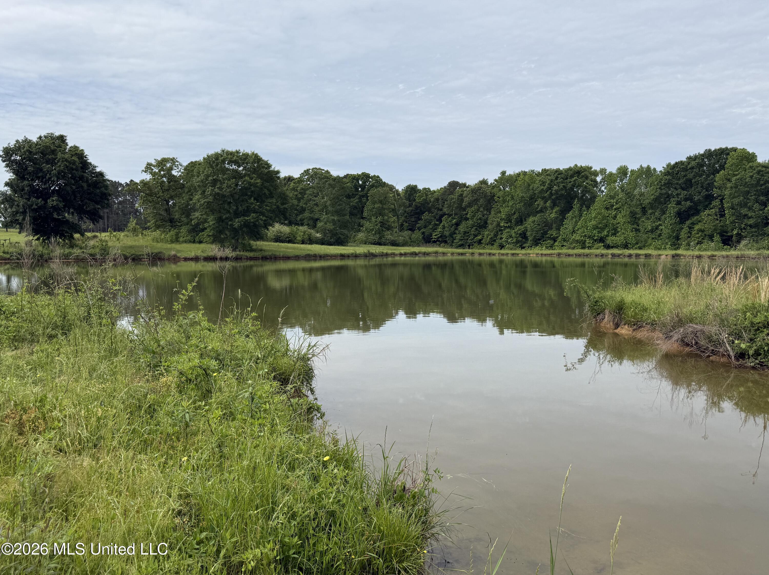 813 Holmesville Road Property Photo 19