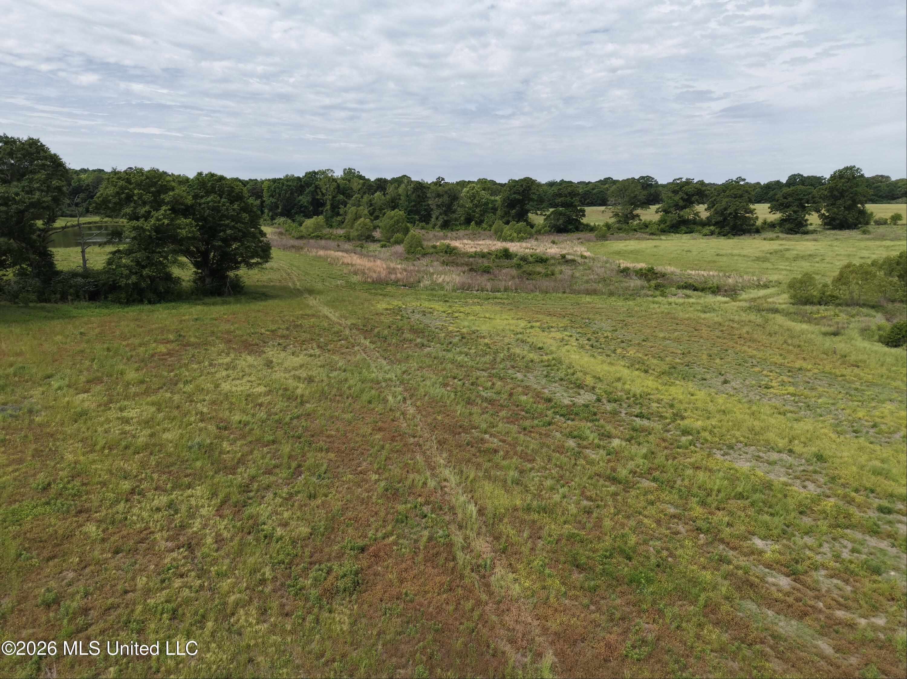 813 Holmesville Road Property Photo 20