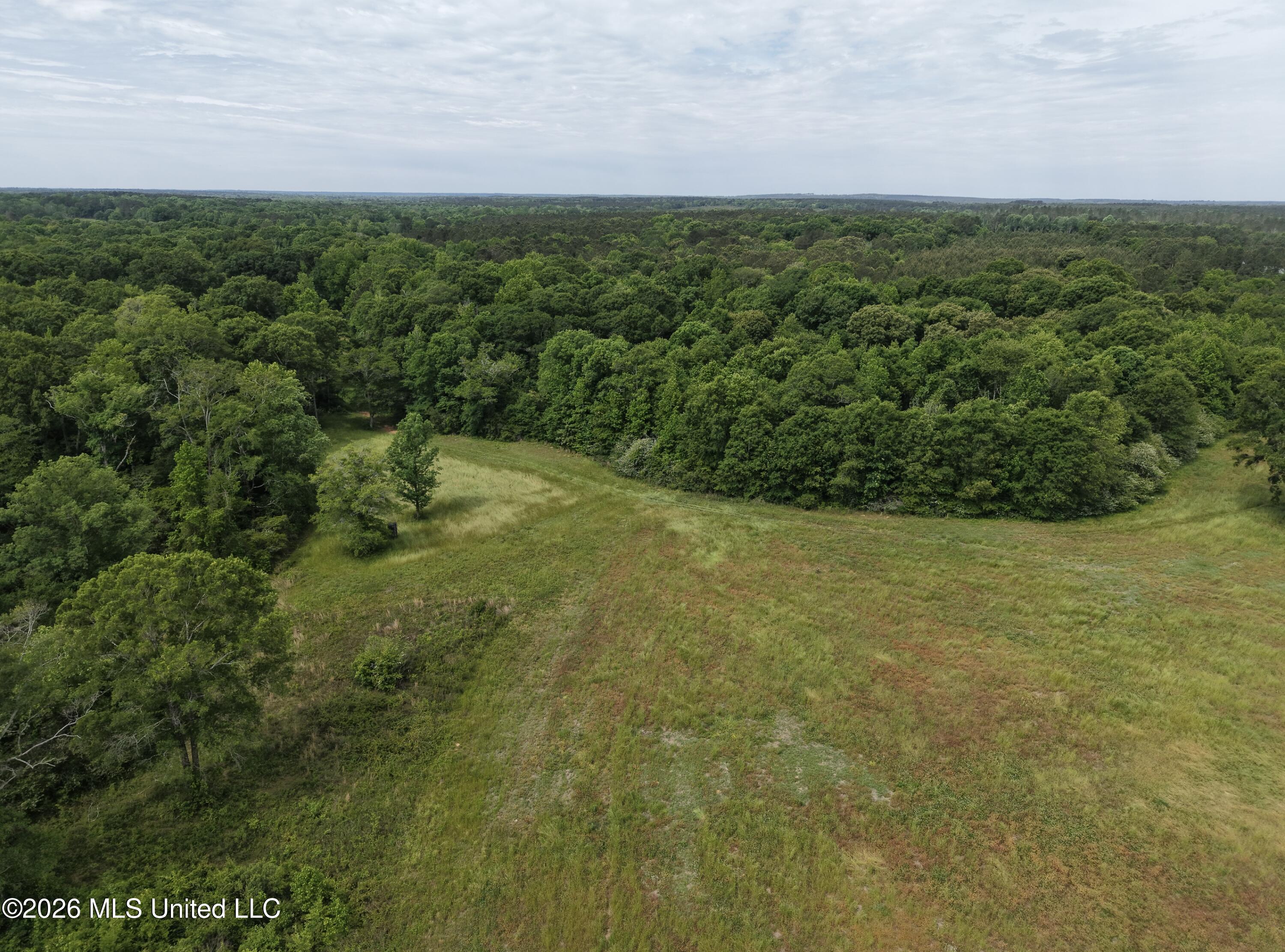 813 Holmesville Road Property Photo 27