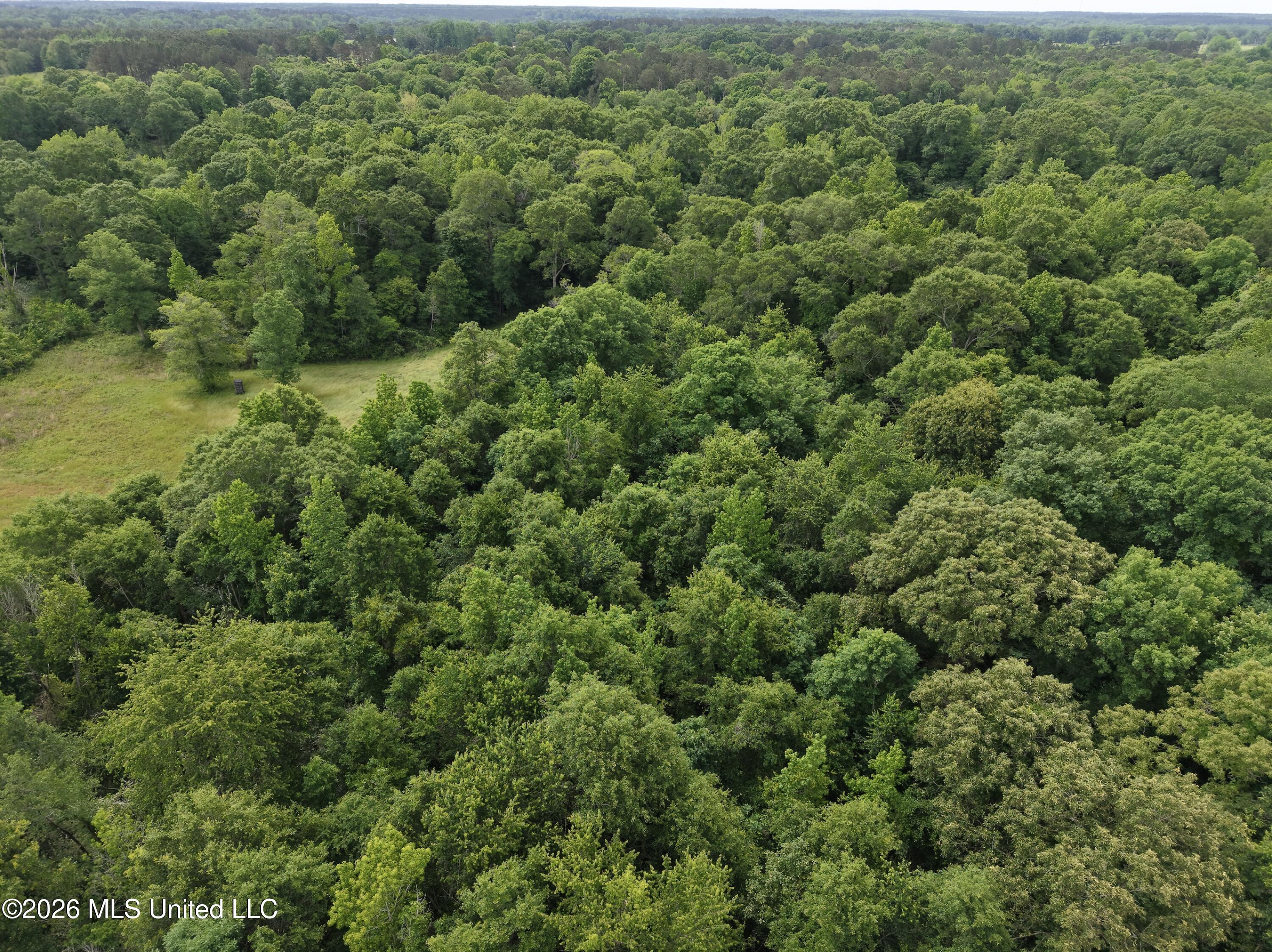 813 Holmesville Road Property Photo 29